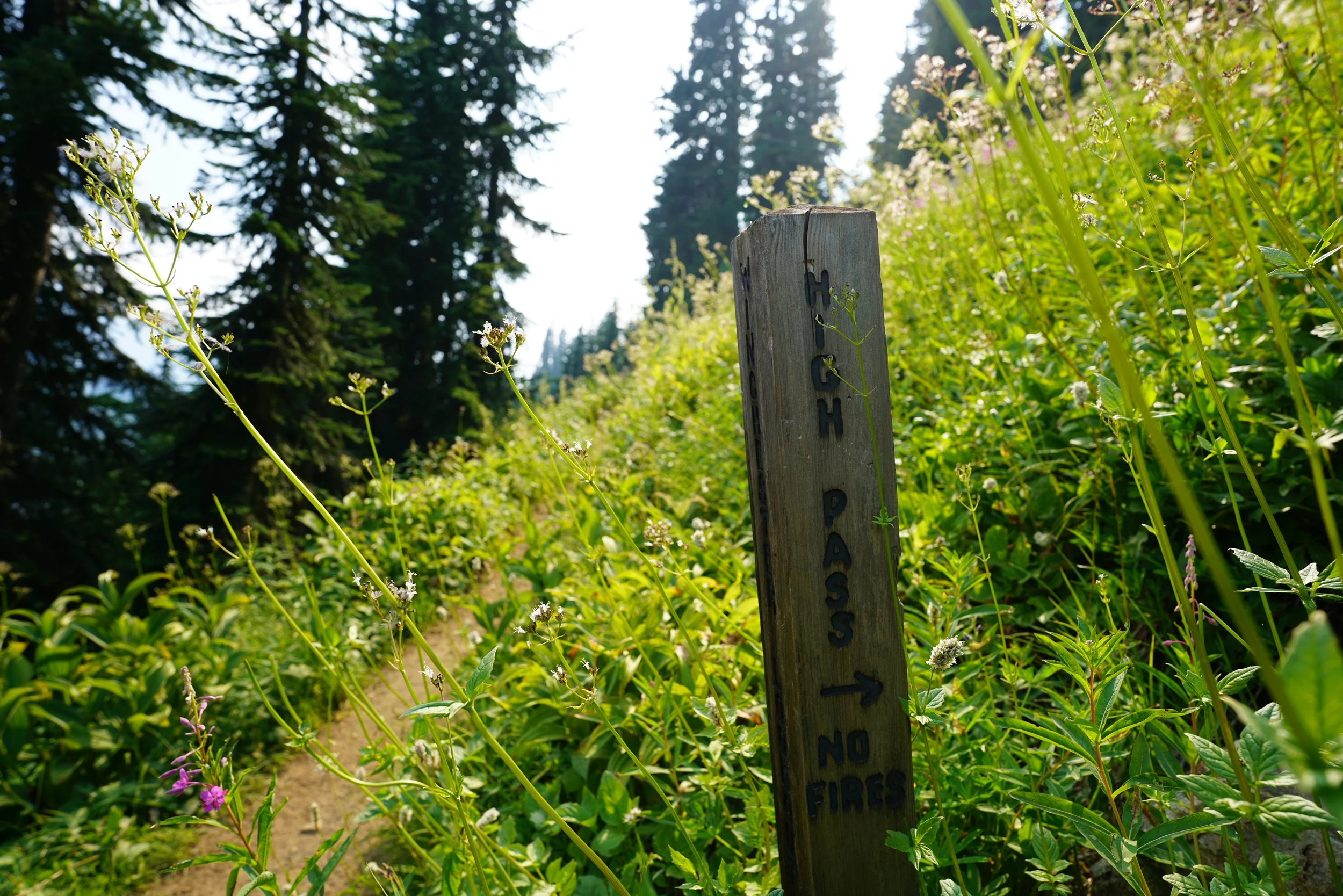 260812_20.JPG
