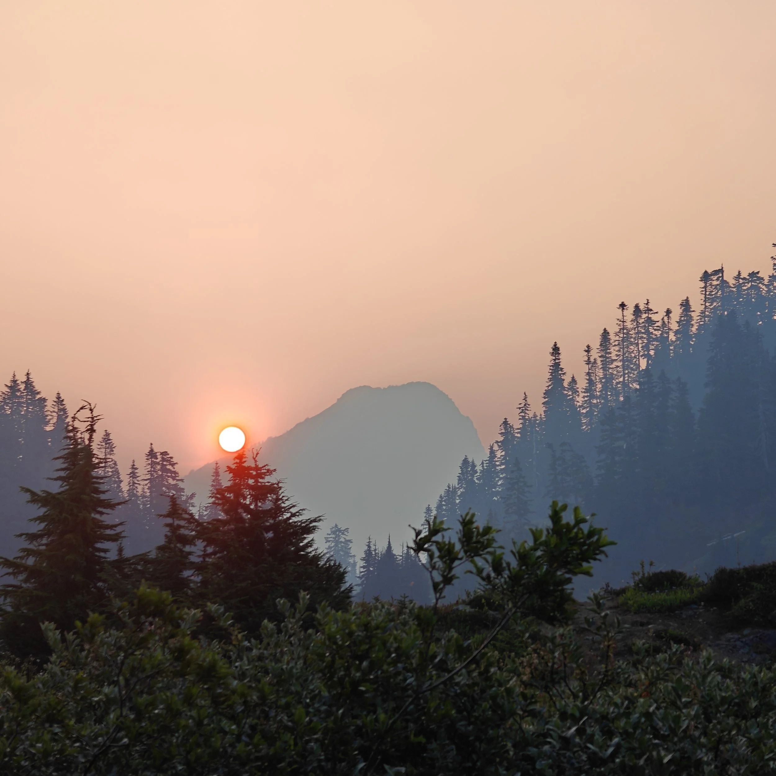 wildfire smoke