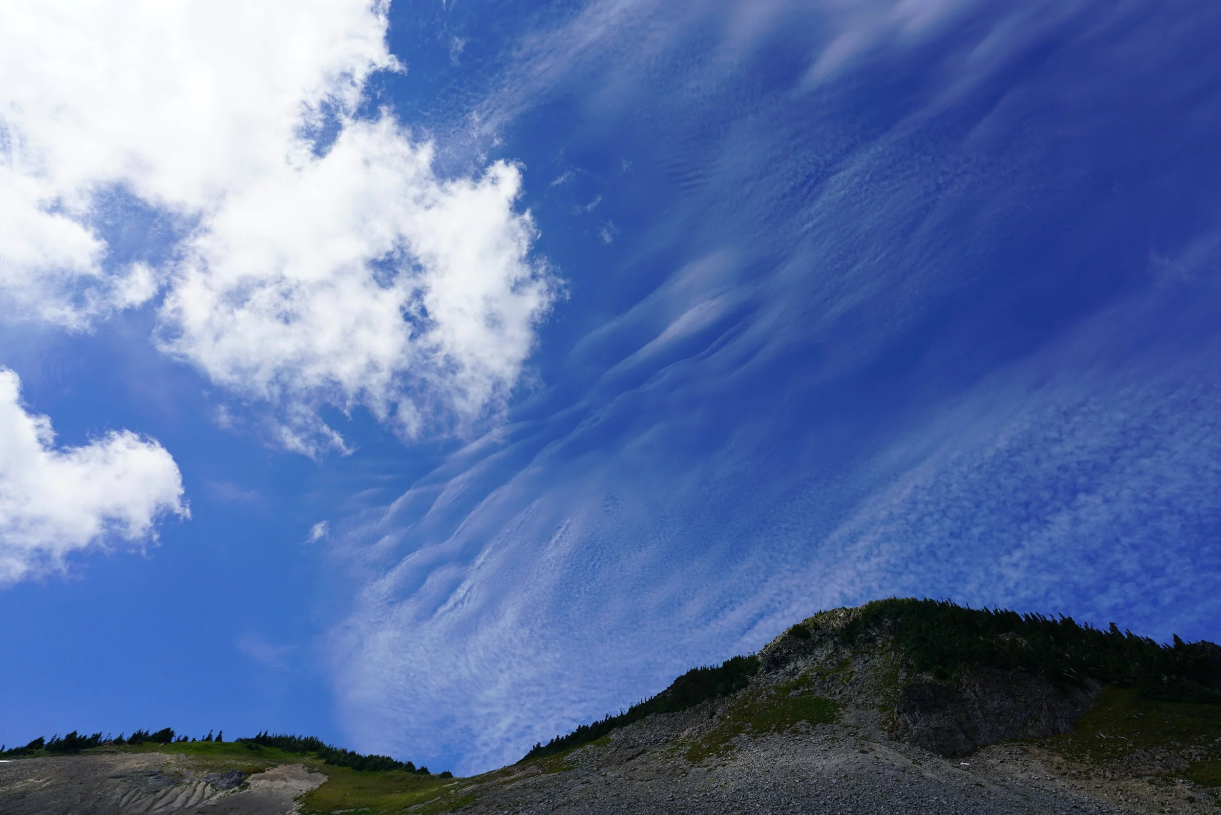 260820_14.JPG