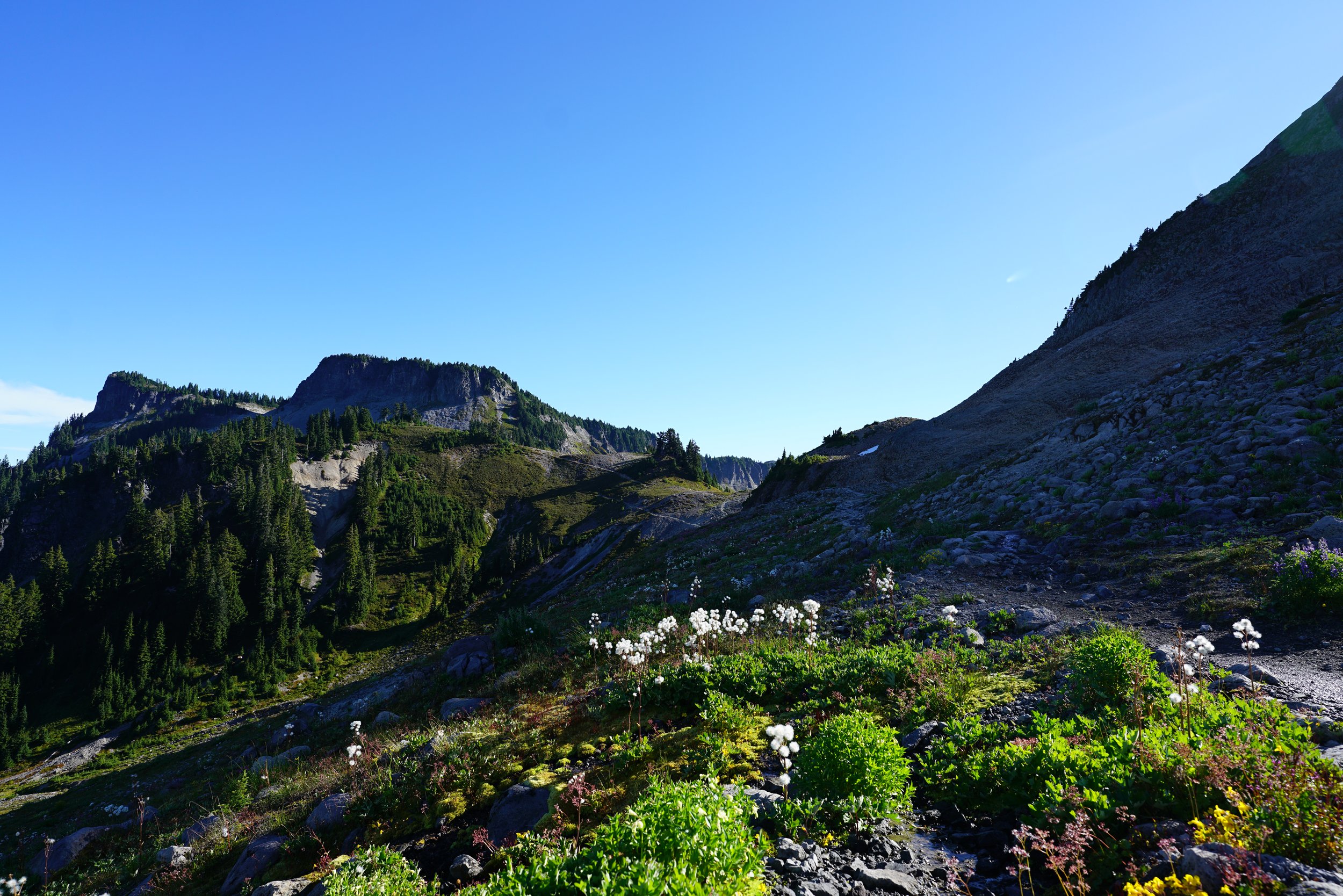 260820_41.JPG
