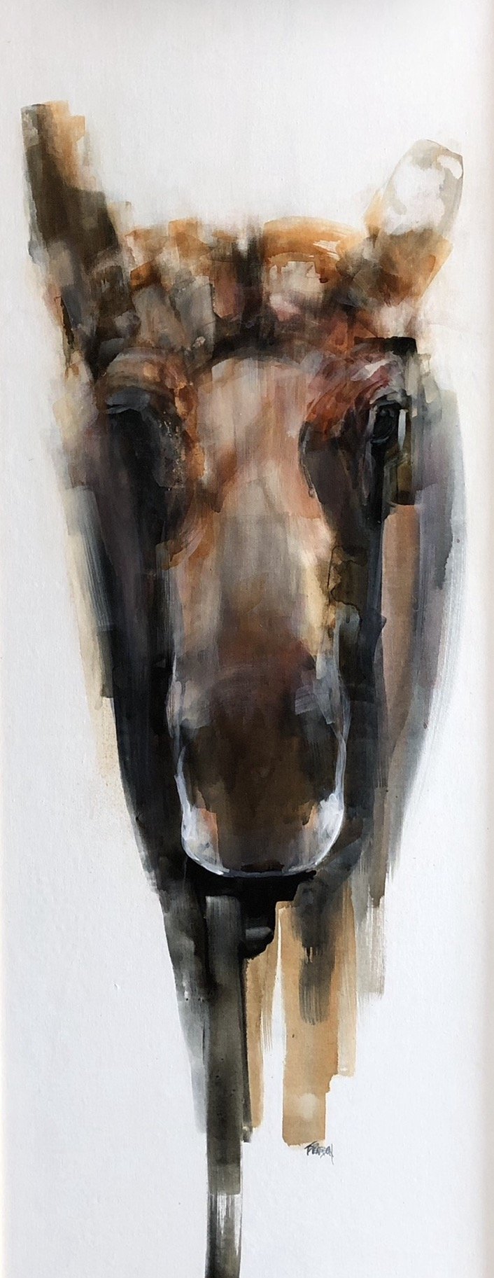 IMG_0415.PNG