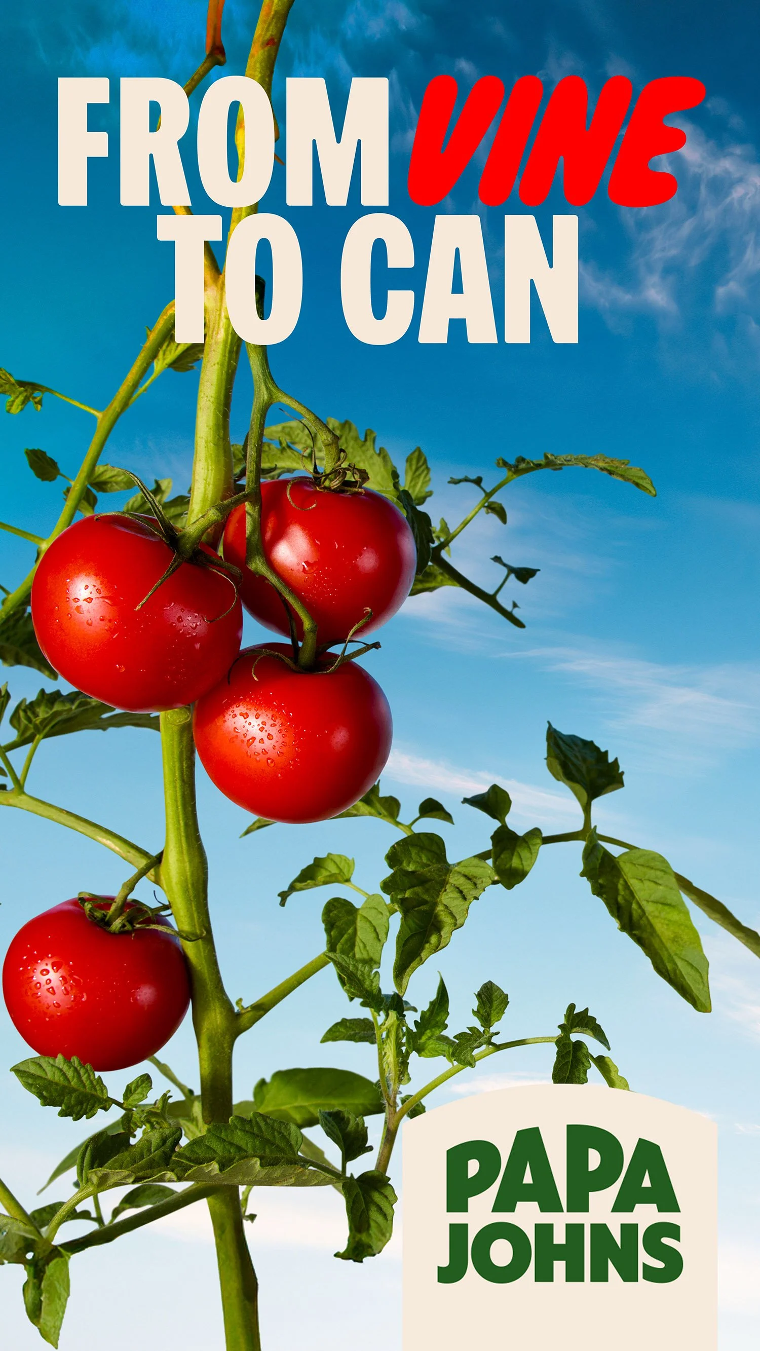 Tomato_Visual_9x16 copy.jpg
