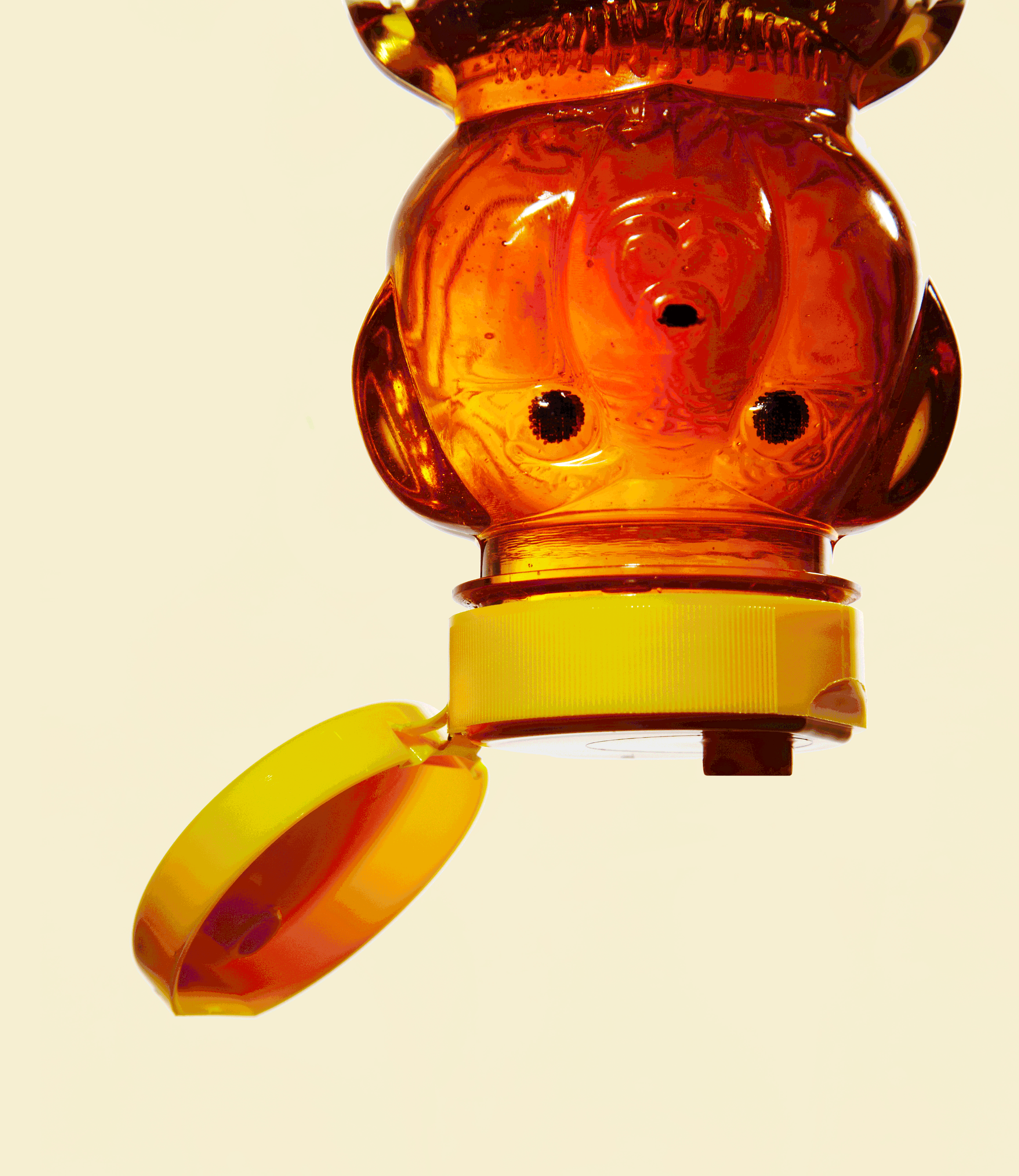 PS_Honey-Bear FV.gif