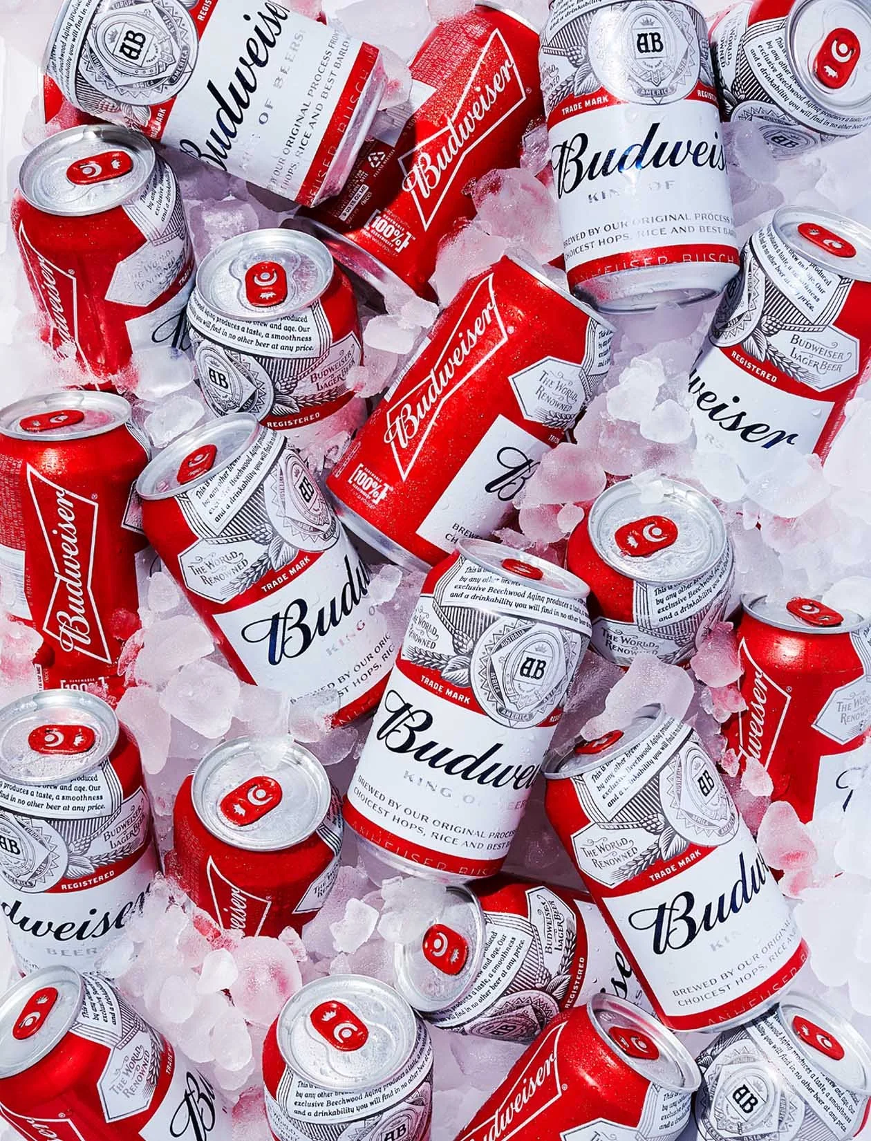 PS_Iced Bud Cans.jpg