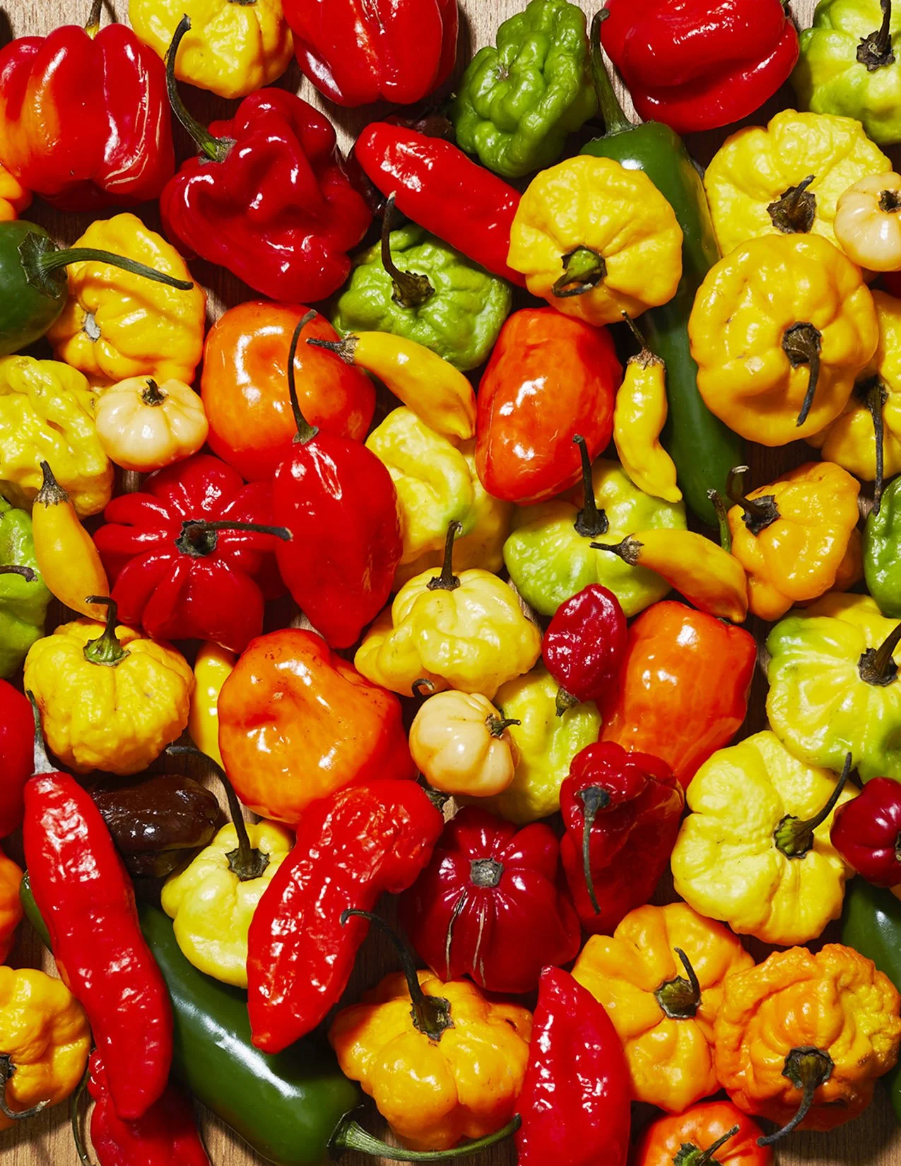 PS_Hot Pepper V1.jpg
