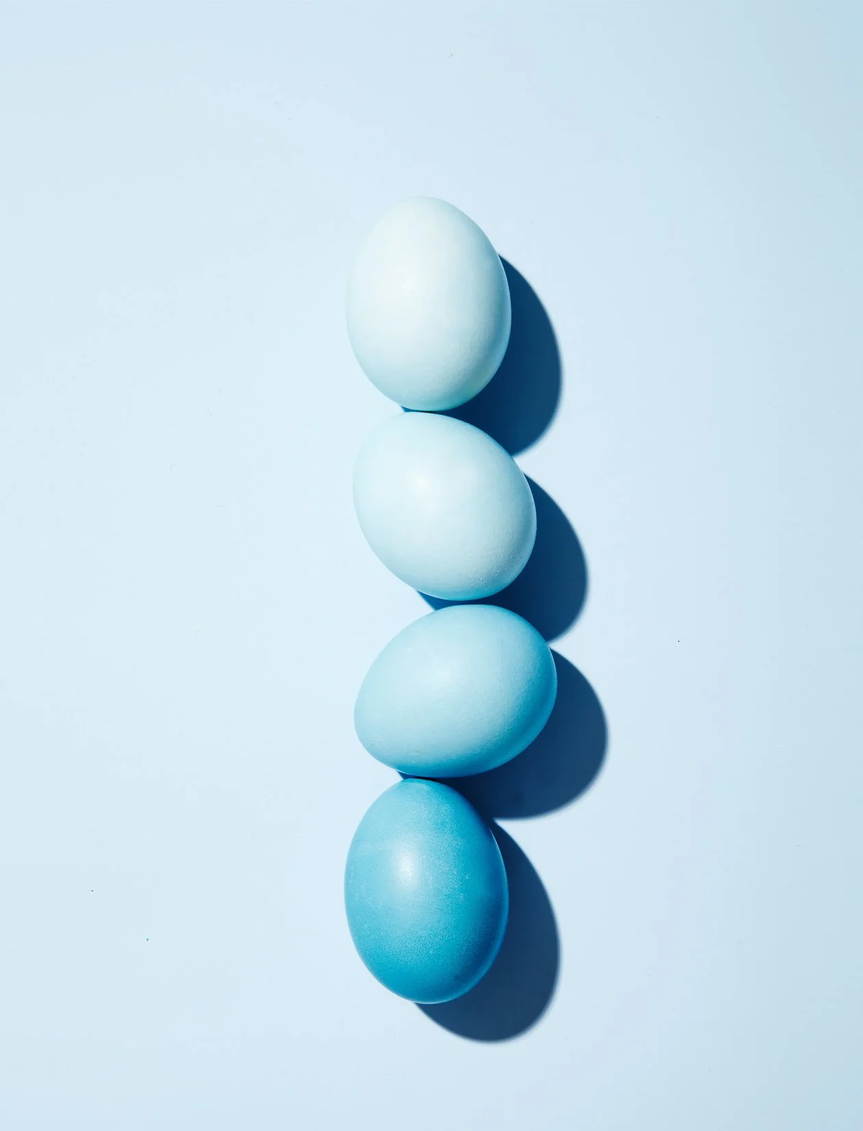 PS_Egg 3.jpg