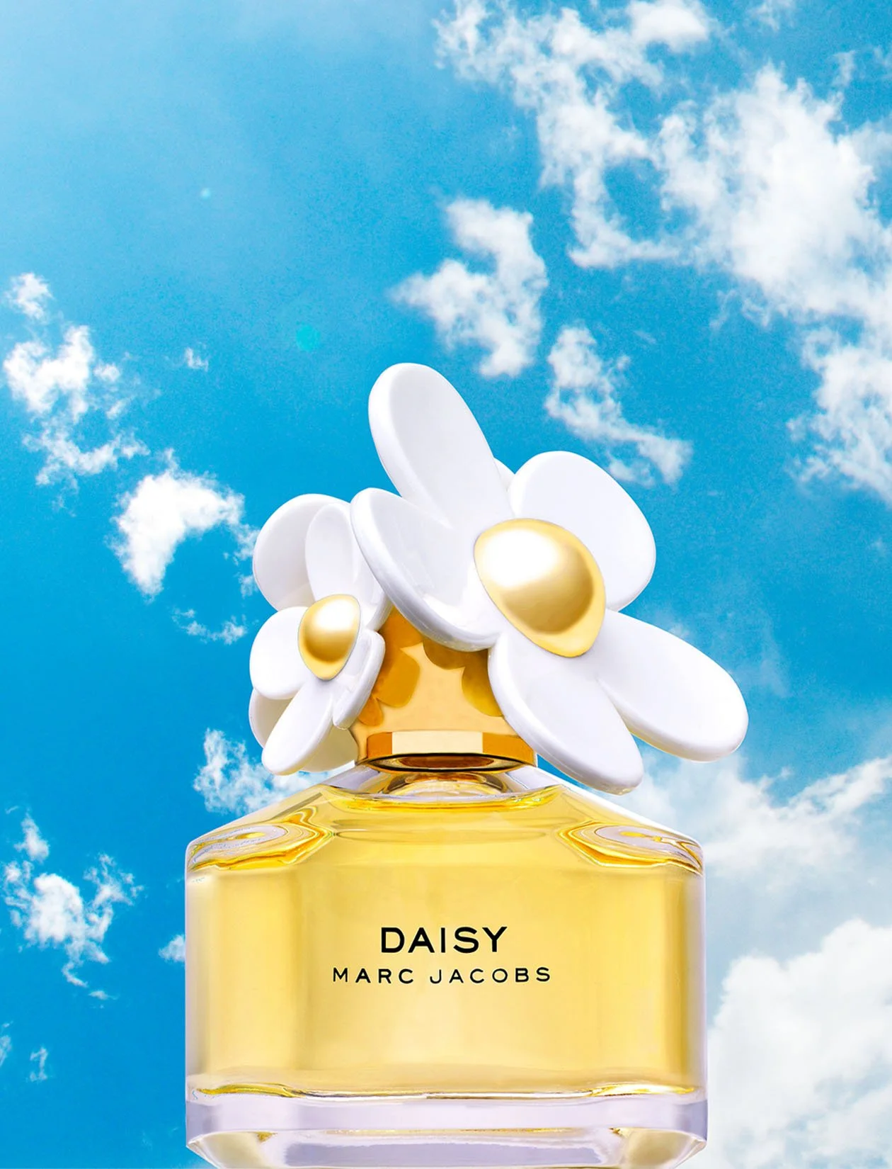 PS_daisy.jpg