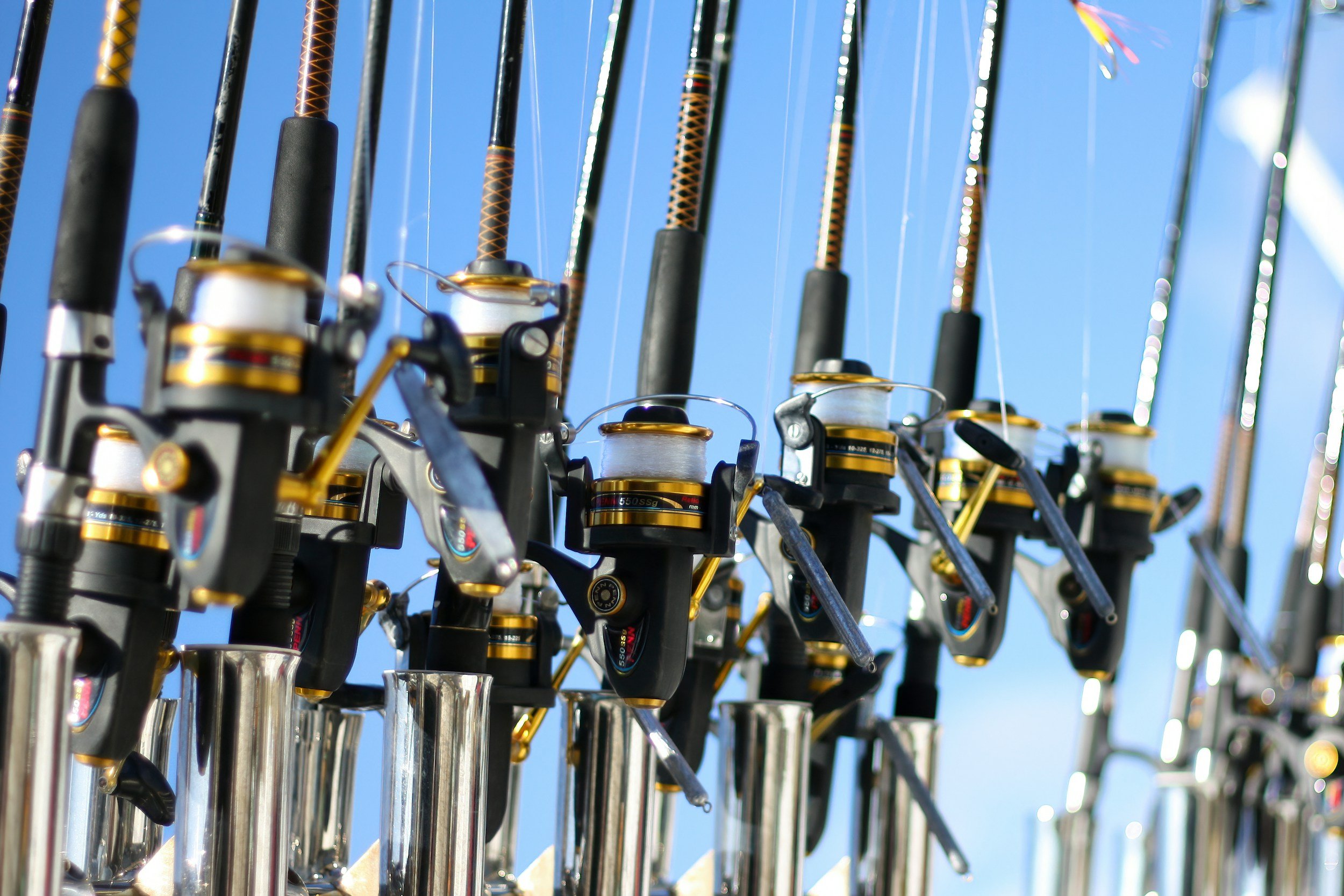 Multiple fishing rods with reels lined up against a bright blue sky.