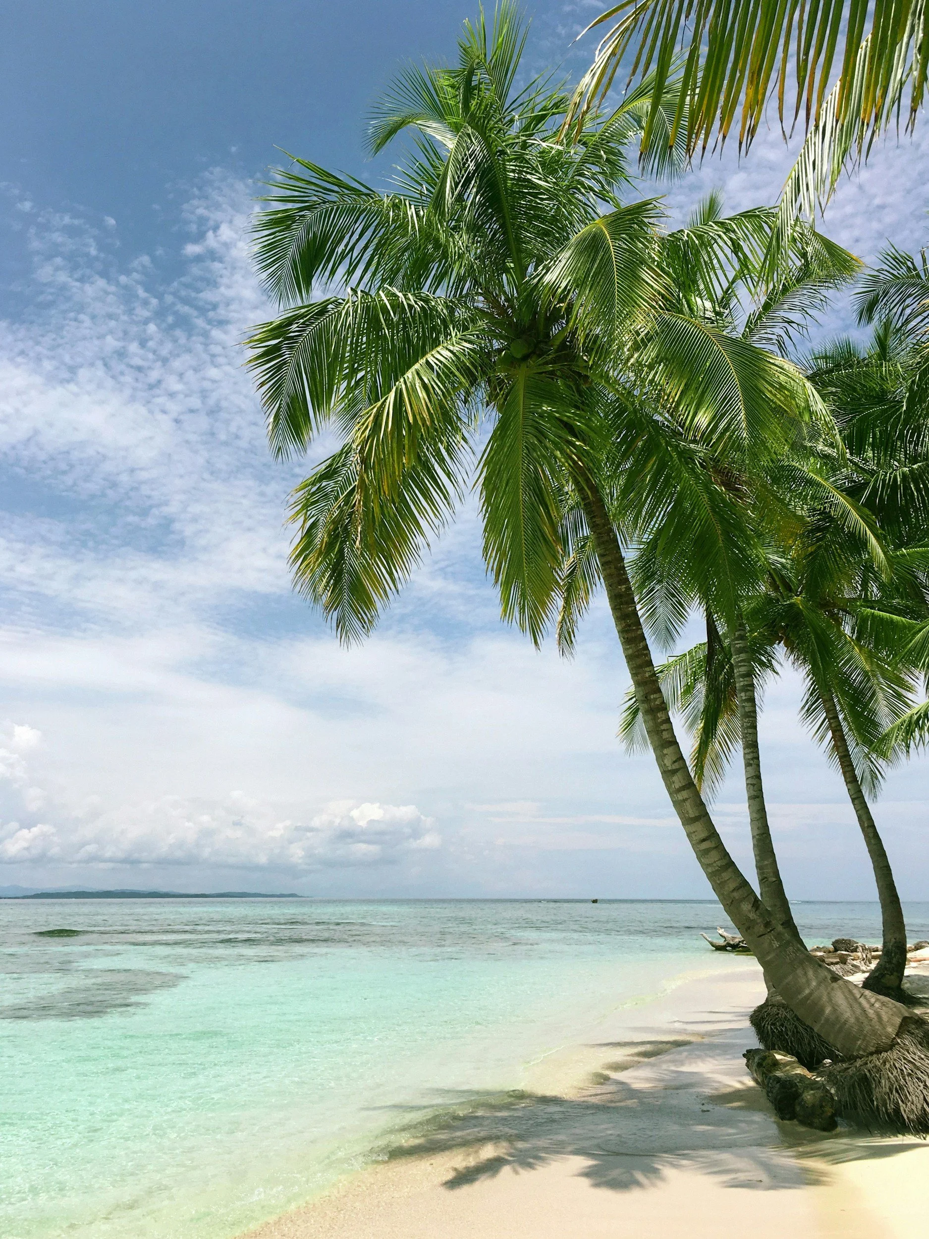 Tropical beach scene with palm trees, clear turquoise water, white sandy shore, and a cloudy sky in the background.