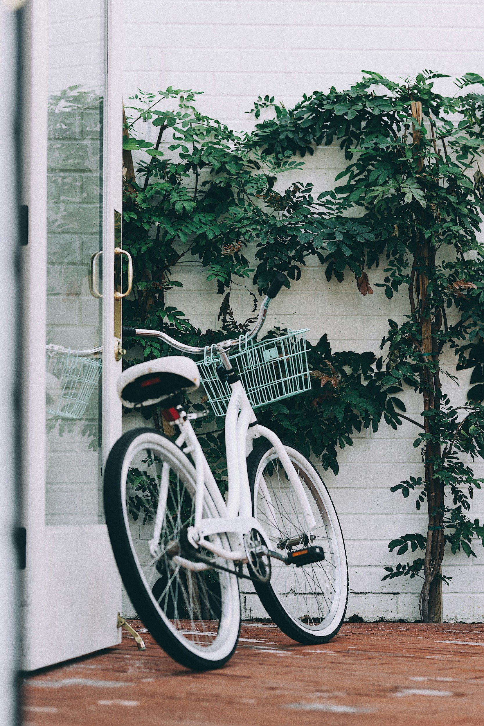 Two white bicycles with baskets parked on a wooden porch, partially visible door on the left, and a granite wall with green leafy plants in the background.