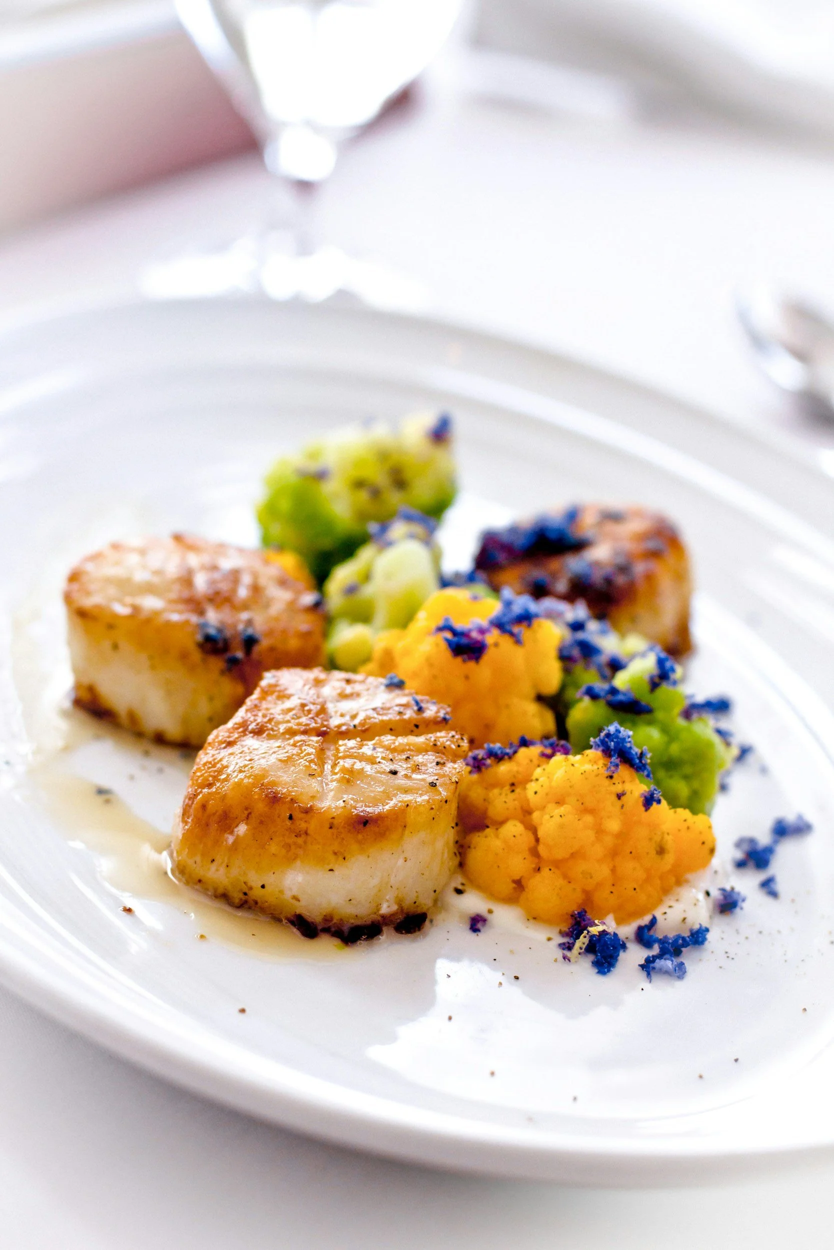 Seared scallops with cauliflower, broccoli, and edible flowers on a white plate.