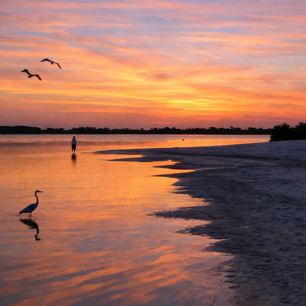 A sunset over a body of water with a person standing near the shore, seagulls flying in the sky, and reflections of the colorful sky on the water and wet sand.