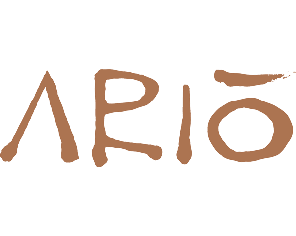 The word "APIO" written in brown, hand-drawn style on a white background.