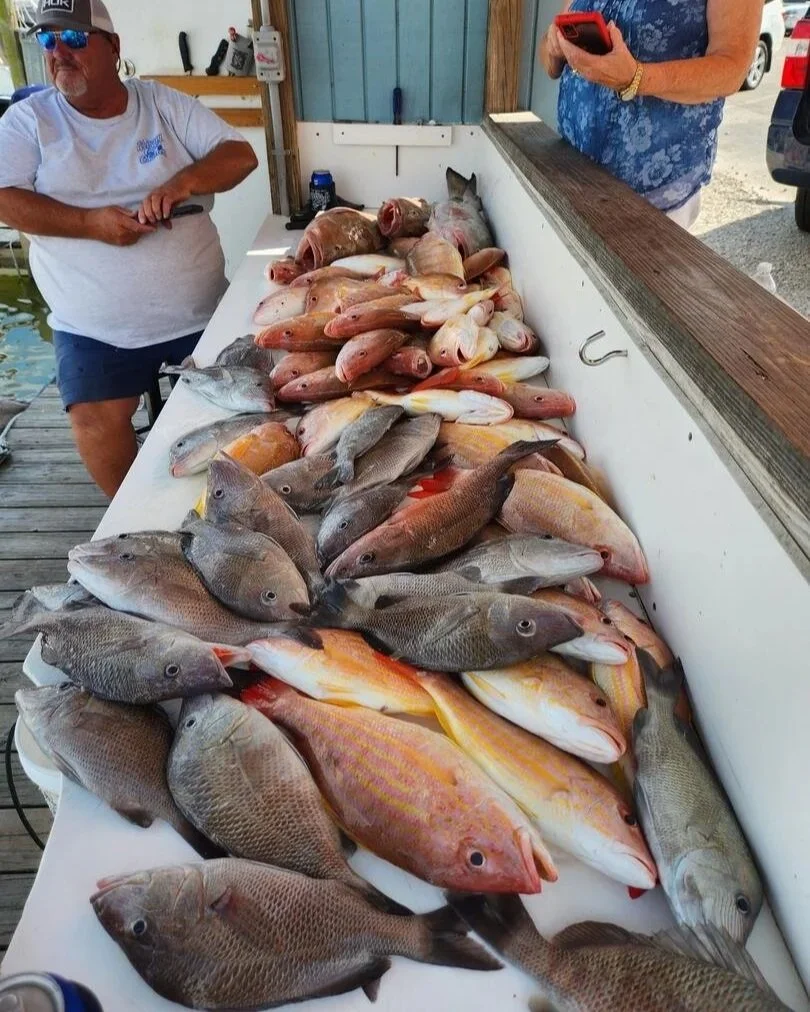A variety of freshly caught fish laid out on a white table by a dock, with two people standing nearby, one holding a phone and the other wearing sunglasses and a white T-shirt.