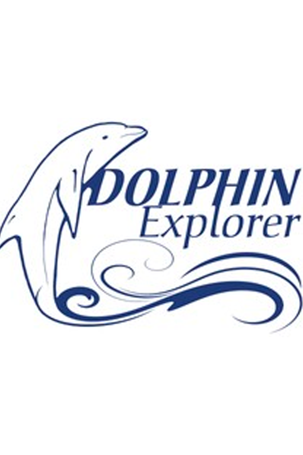 Logo with a stylized dolphin and waves, with the text 'Dolphin Explorer' in blue.