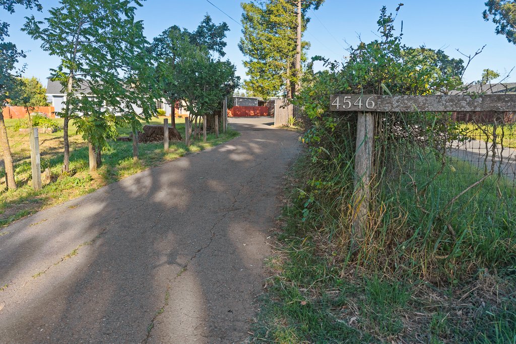 A rural asphalt driveway with cracks, lined by a wooden fence and lush green trees on the left side, and a wooden fence with a house visible in the background. There is a wooden signpost with the address number 4546 on the right side, partially cover