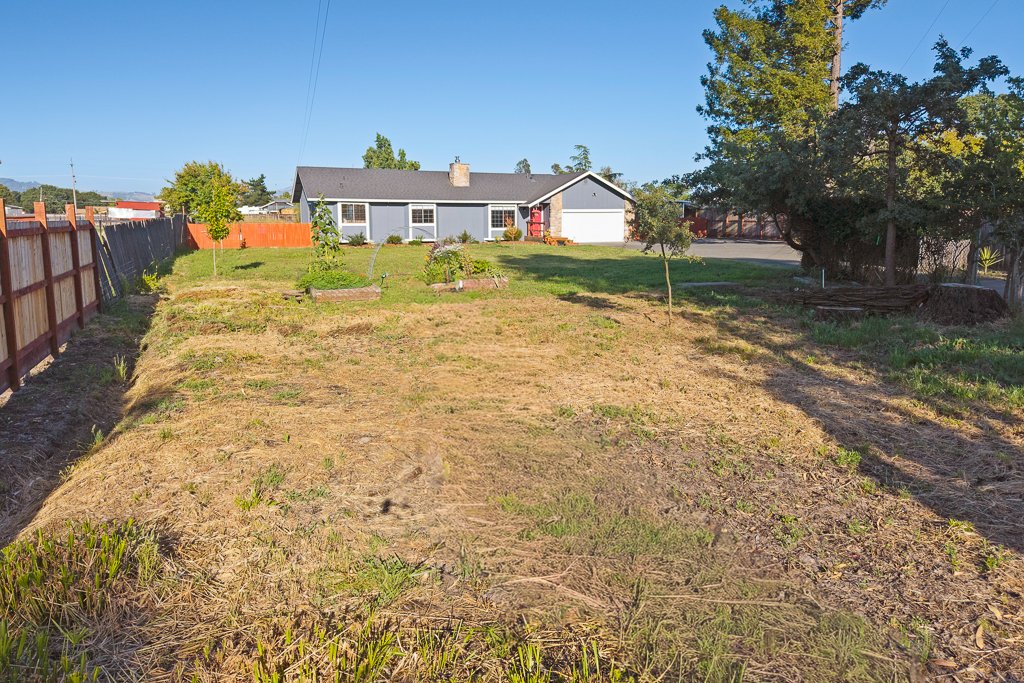 A backyard with a partially cleared lawn, small planted trees, a wooden fence on the left, and a house with light blue siding and a gray roof in the background, under a clear blue sky.