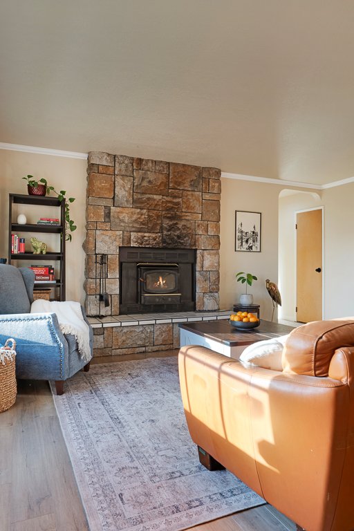 Living room with a stone fireplace, blue armchair, gray sofa, and brown leather chair. A bookshelf with plants and books, a coffee table with oranges, and a framed picture on the wall.