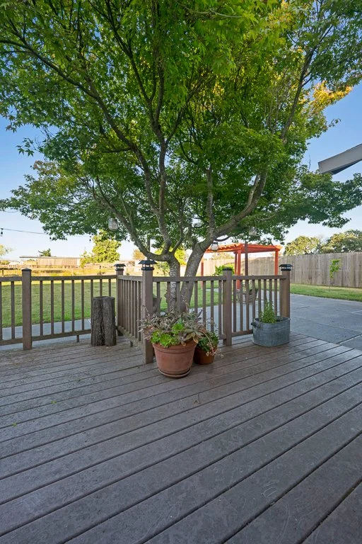A backyard deck with potted plants, a tree growing through the deck, and a wooden fence in the background under a clear blue sky.