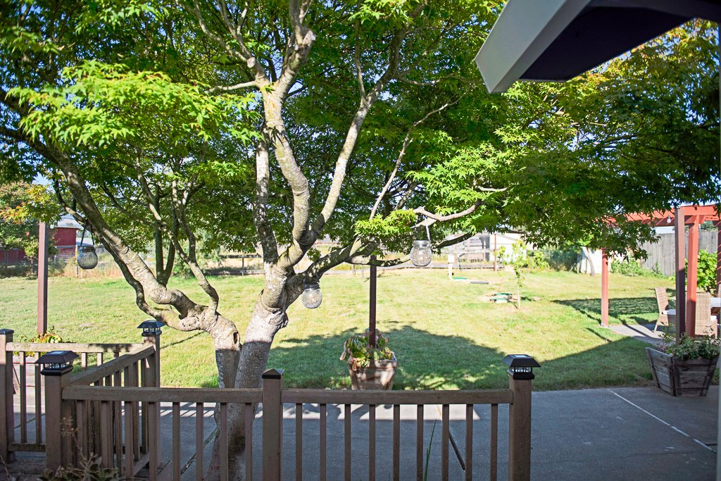 A backyard with a tree, a grass lawn, and a wooden fence. There are hanging lanterns from the tree and potted plants.