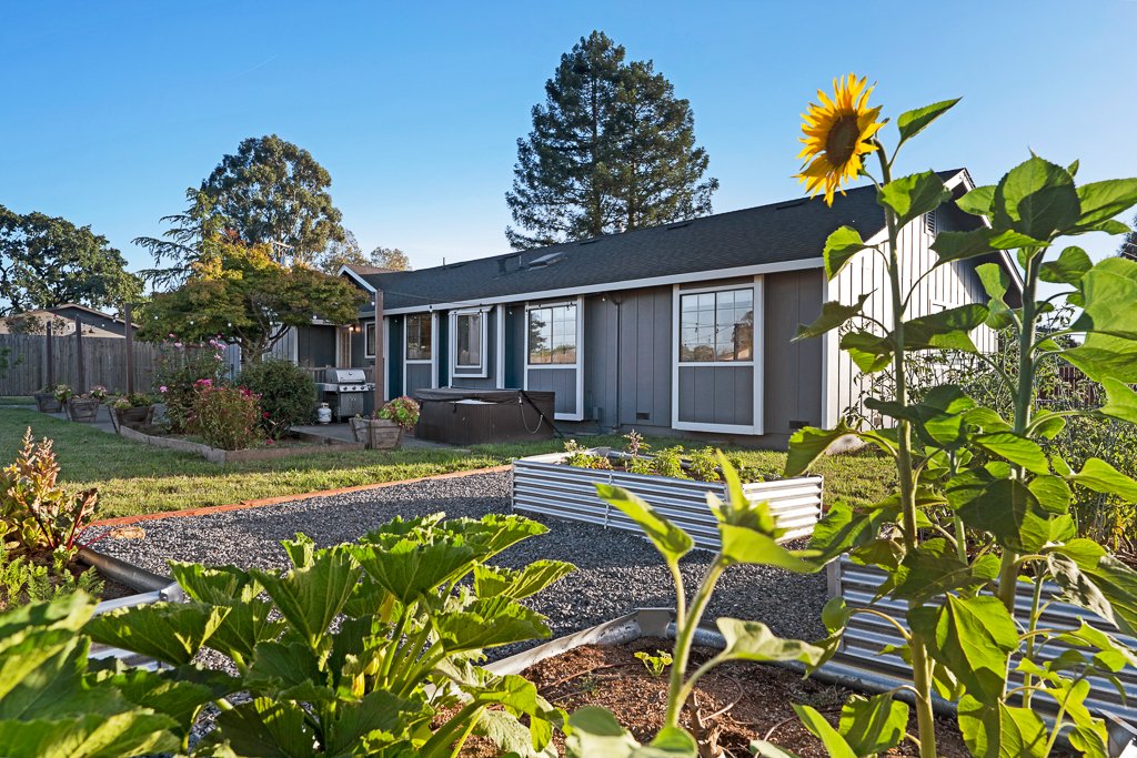 Backyard view of a house with a gray exterior, large windows, a small deck, a barbecue grill, garden beds with plants and flowers, a sunflower, and a gravel pathway, under a blue sky with trees in the background.