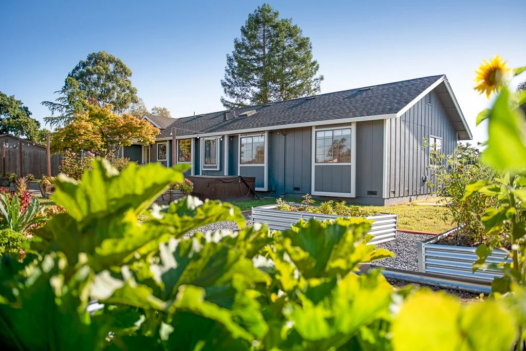 A gray house with a black roof, large windows, and a backyard with plants, trees, and garden beds, under a clear blue sky.