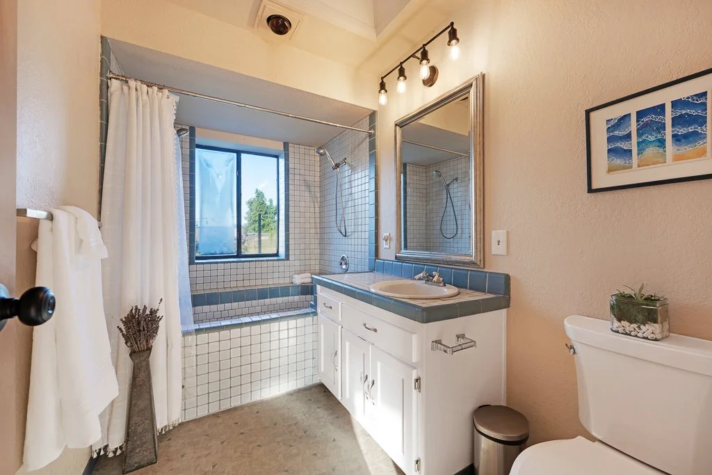 Bathroom with a bathtub under a window, a mirror above the sink, and a toilet with a small plant on top.