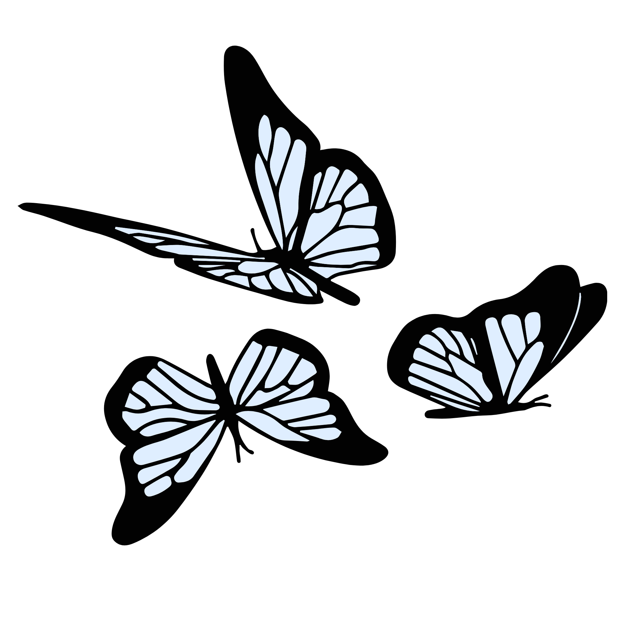 Line drawing of a butterfly with detailed wings, wings are light blue with dark outlines, set against a black background.