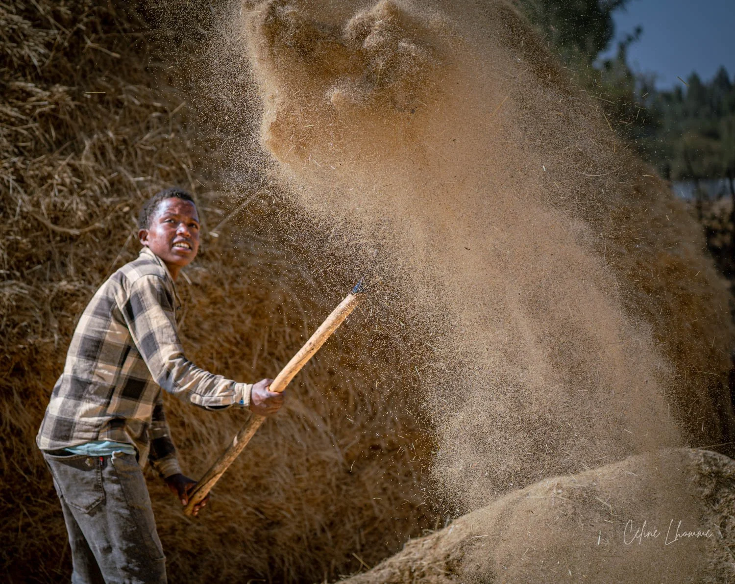 A young boy in a plaid shirt and jeans is shoveling a large pile of sand or dirt with a long-handled tool, with a backdrop of hay or straw and trees in the distance.
