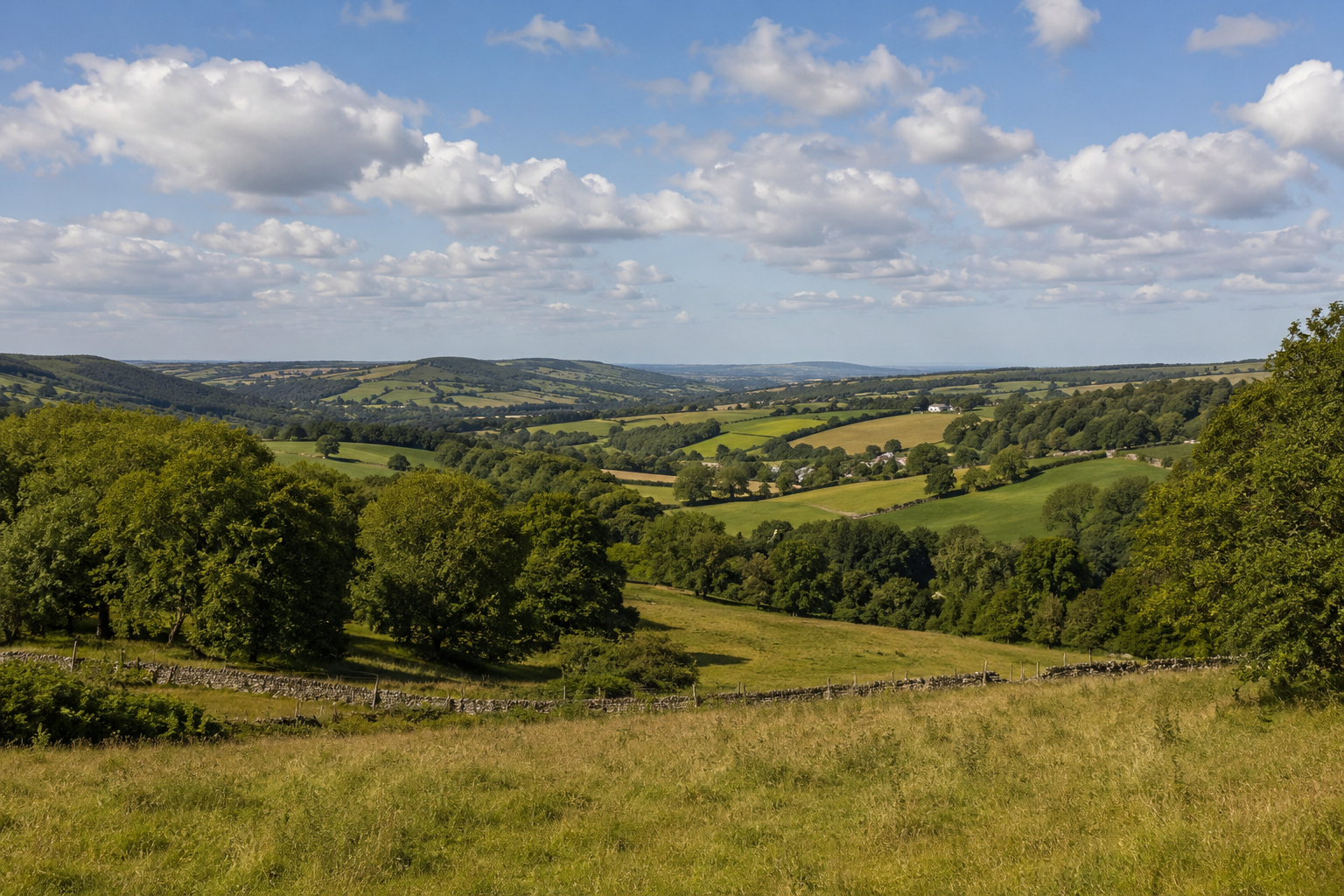Scenic Yorkshire Dales view of rolling green hills with trees and a stone fence, under a partly cloudy sky.