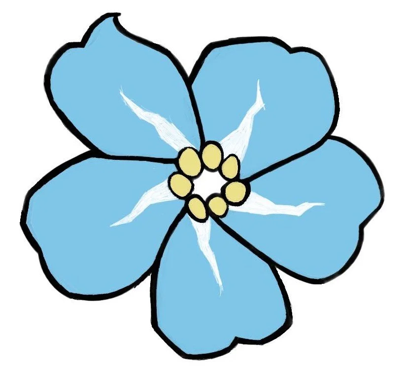 Image example for here