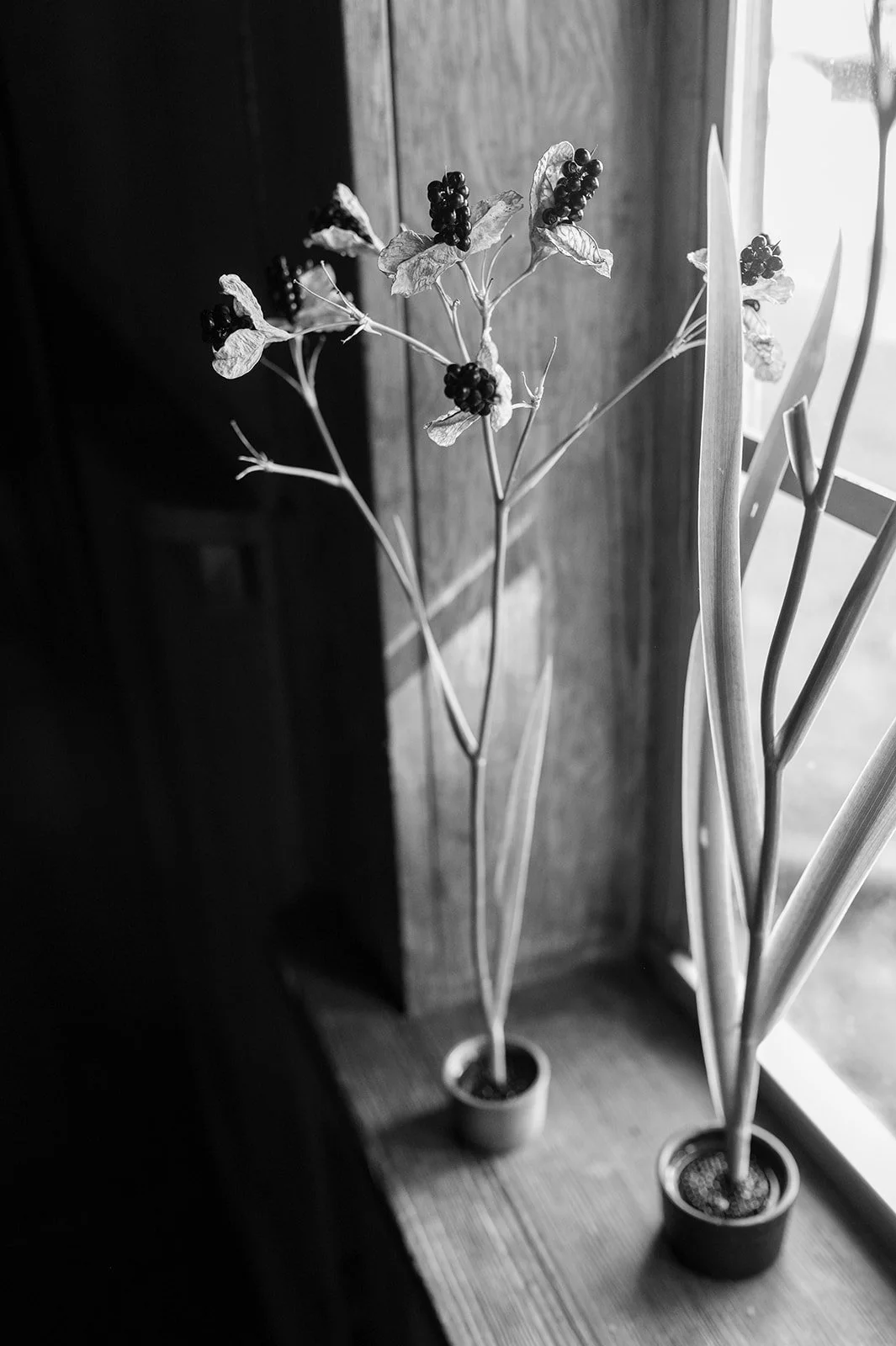 8998F29A-C1C0-4C33-8B84-76CB7C733F0C.jpeg
