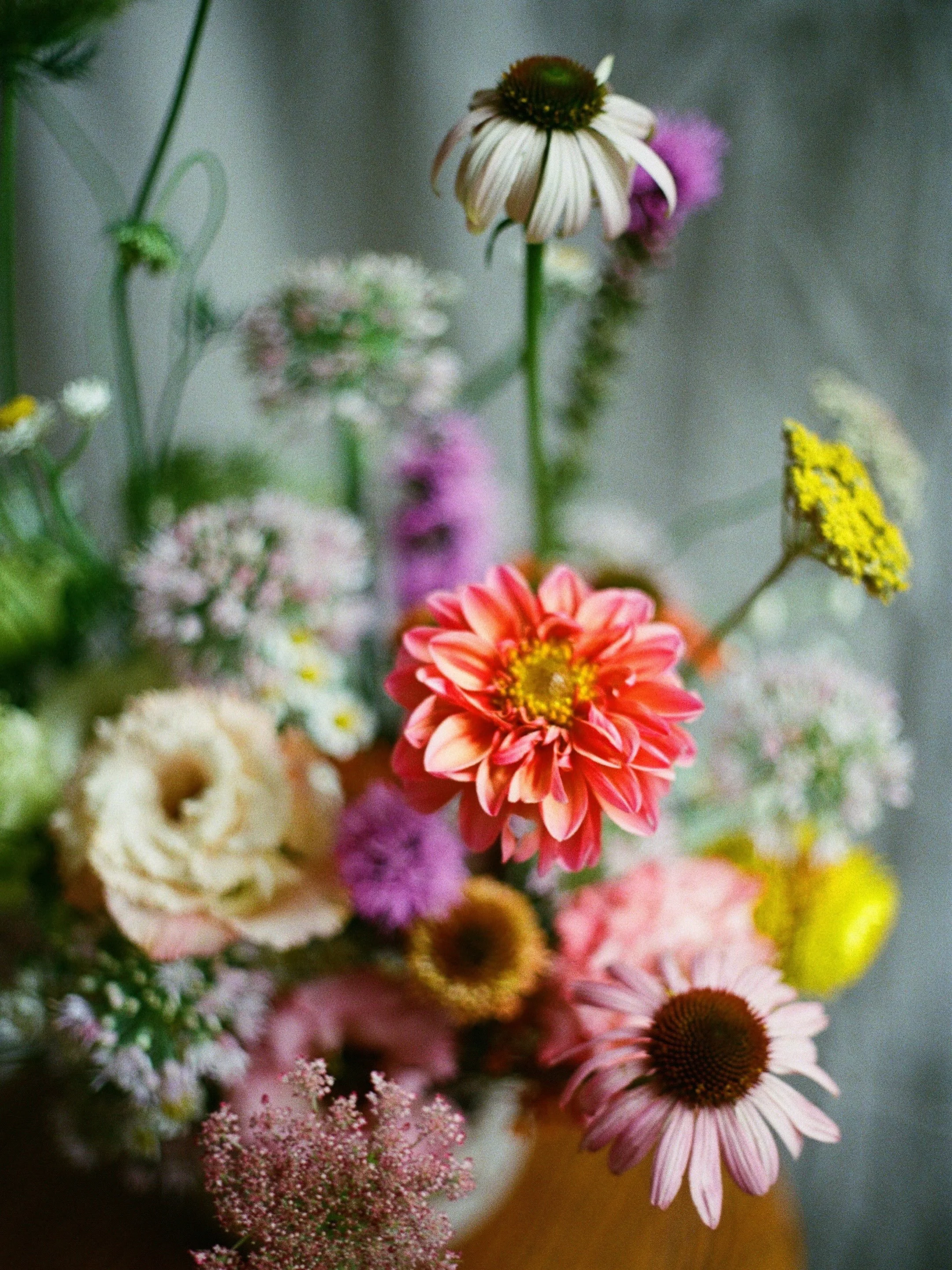 My June seasonal arrangement on film. Lisianthus, Dara, coneflower, yarrow, allium, feverfew, hydrangea, liatris, dahlia, winged everlasting. 

I&rsquo;ve always loved color gradients and I think that shows up in a lot of my work! 

#ayearinflowers #