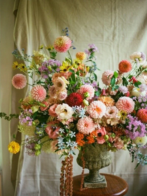 A Year in Flowers:

J U L Y

Ooooh she&rsquo;s a stunner. 

Believe it or not, this was actually a cooler clean out of sorts. I had no idea it would turn out to be this magnificent!

Dahlias, rudbeckia, tweedia, amaranth, butterfly weed, phlox, hydra
