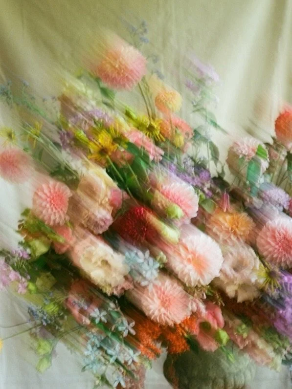 Posting this stunner again because the first post&rsquo;s picture quality upload was not great. And because she deserves more than one square on my feed!! 

Love her. 

#nofloralfoam #ayearinflowers #sustainablefloristry #knoxvilleflorist #seasonalfl