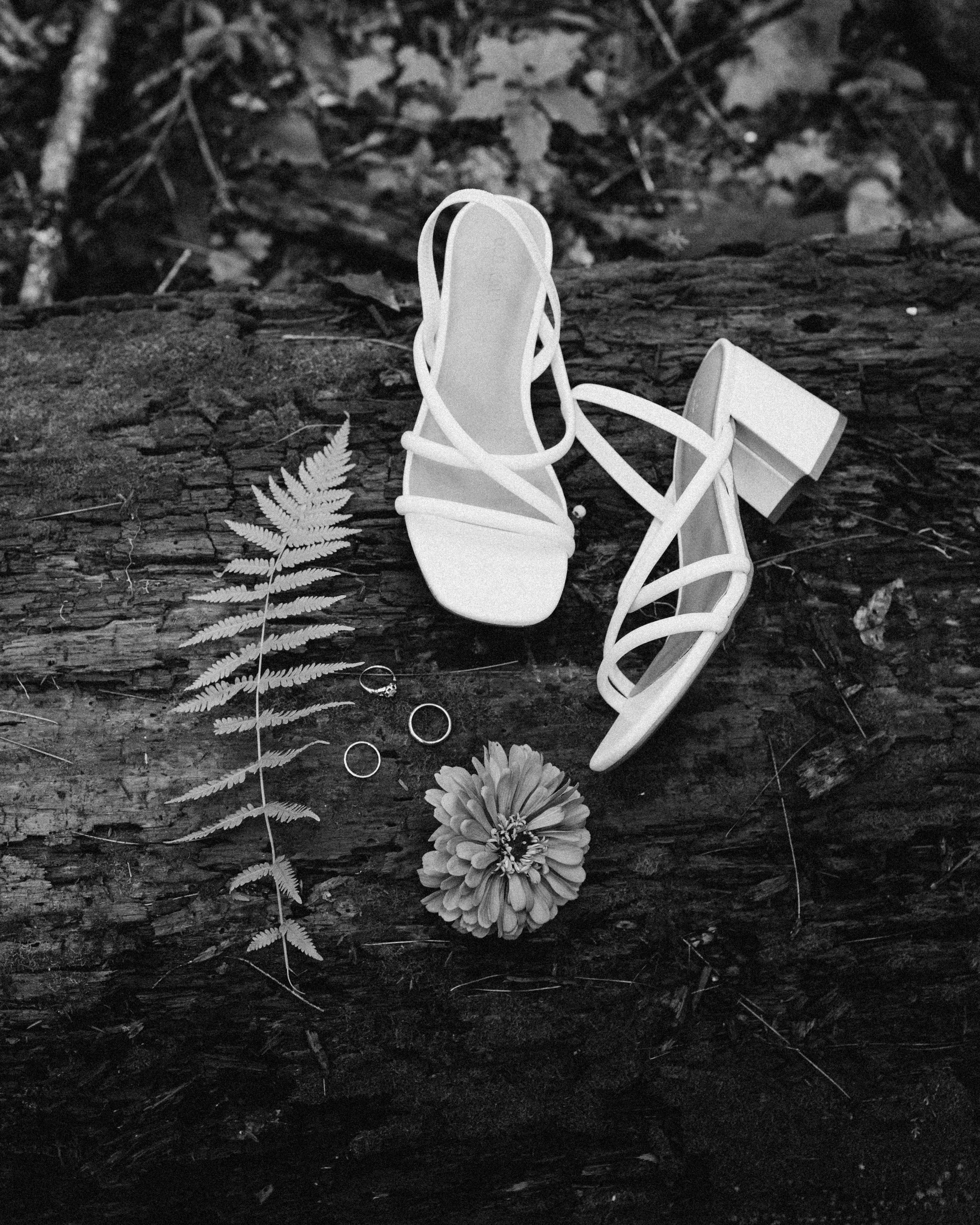 Photo-68.jpg