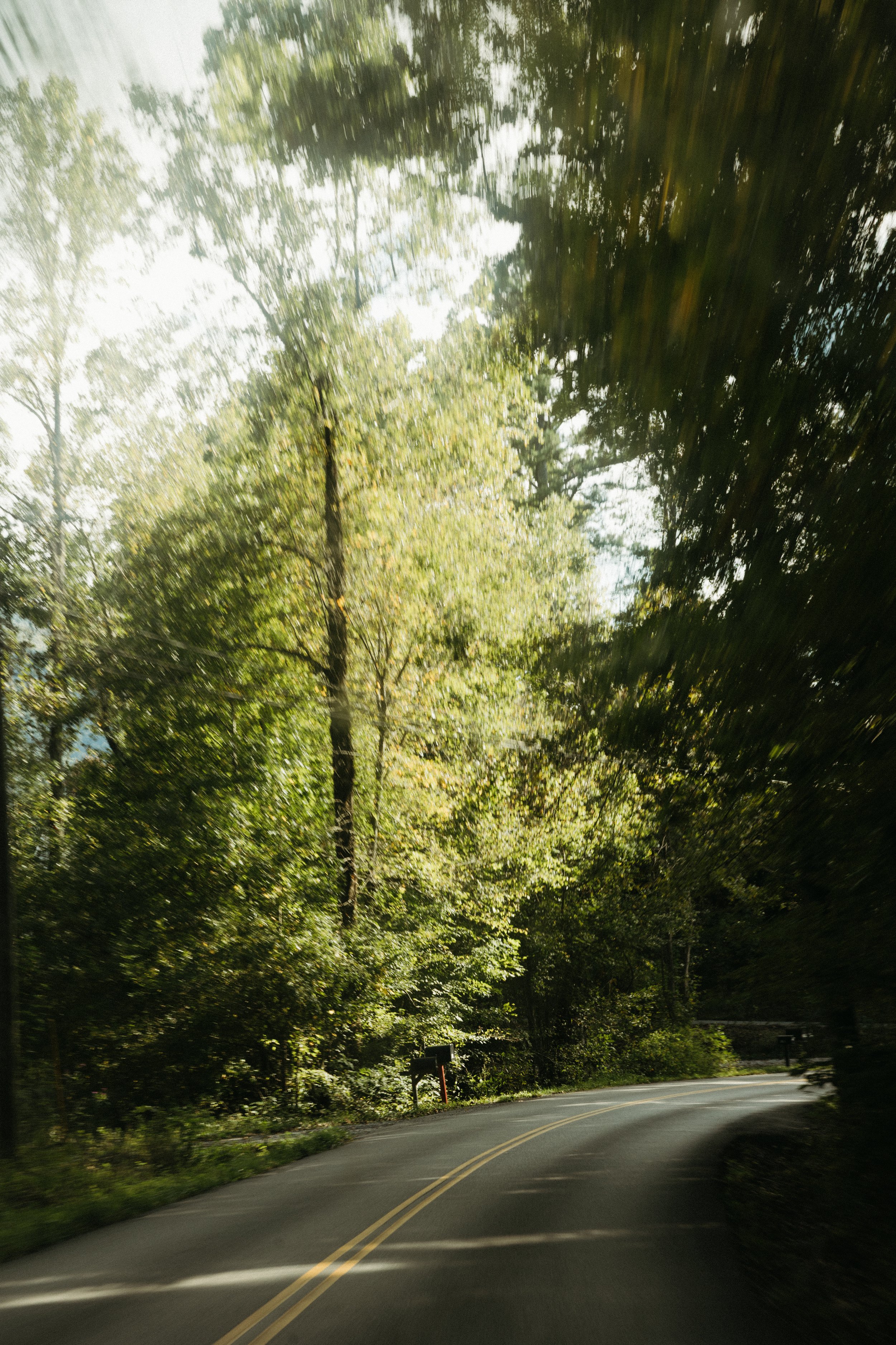 avery-mason-elopement-previews-photos-nicole-lenia-kiser-imagery-22.jpg
