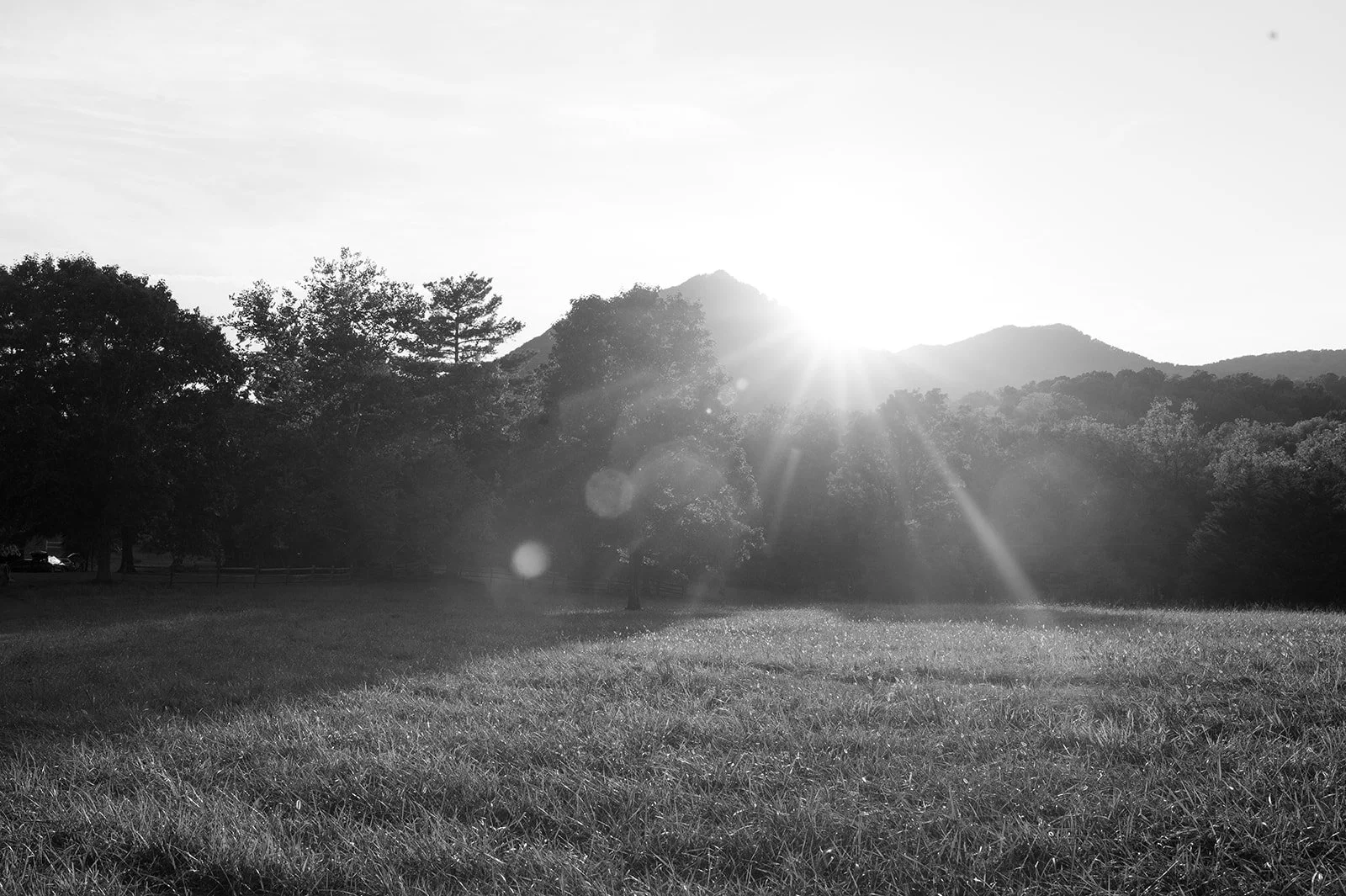 1E49FD35-ACAC-4C7C-9603-F007430A3113.jpeg