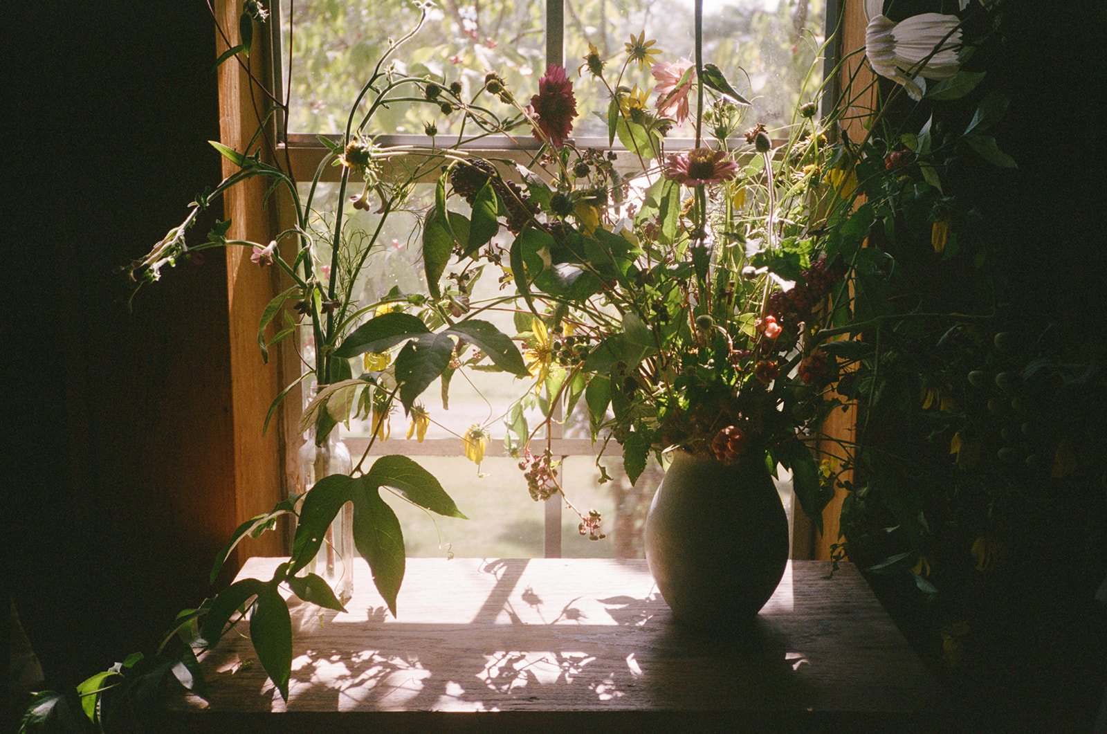 18C2568C-2D20-49A6-AC93-B0B0E73D65F6.jpeg