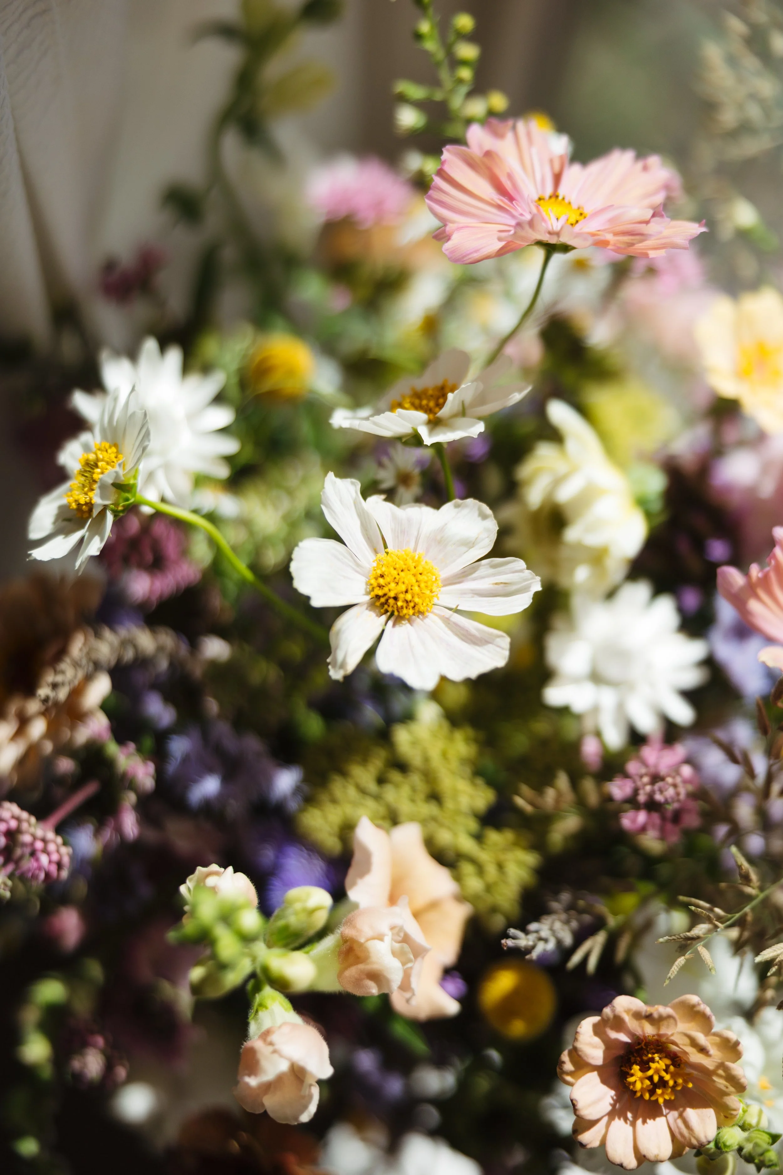 avery-mason-elopement-previews-photos-nicole-lenia-kiser-imagery-4.jpg