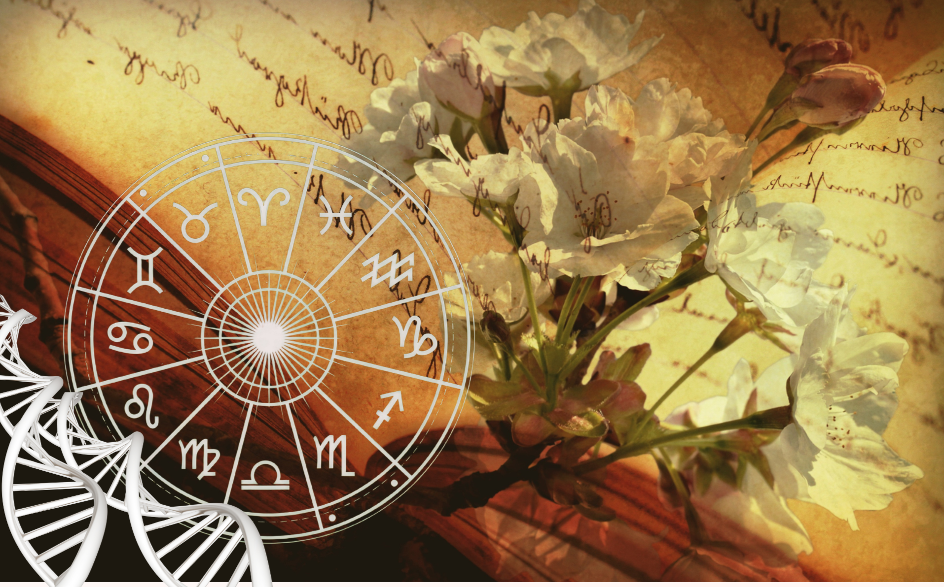 Ancestral healing retreat, holistic health and healing, spiritual retreat