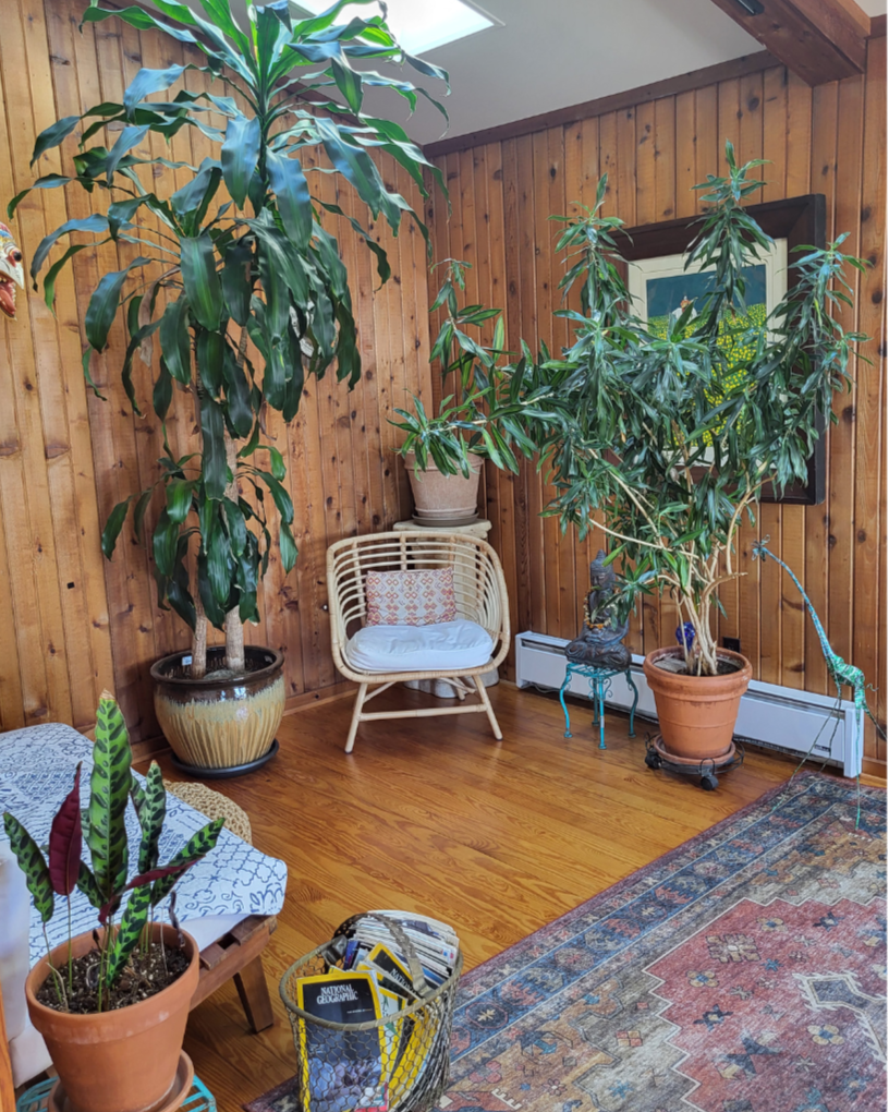 sacred light retreat in Virginia, spiritual retreat, ladies retreat, divine feminine retreat