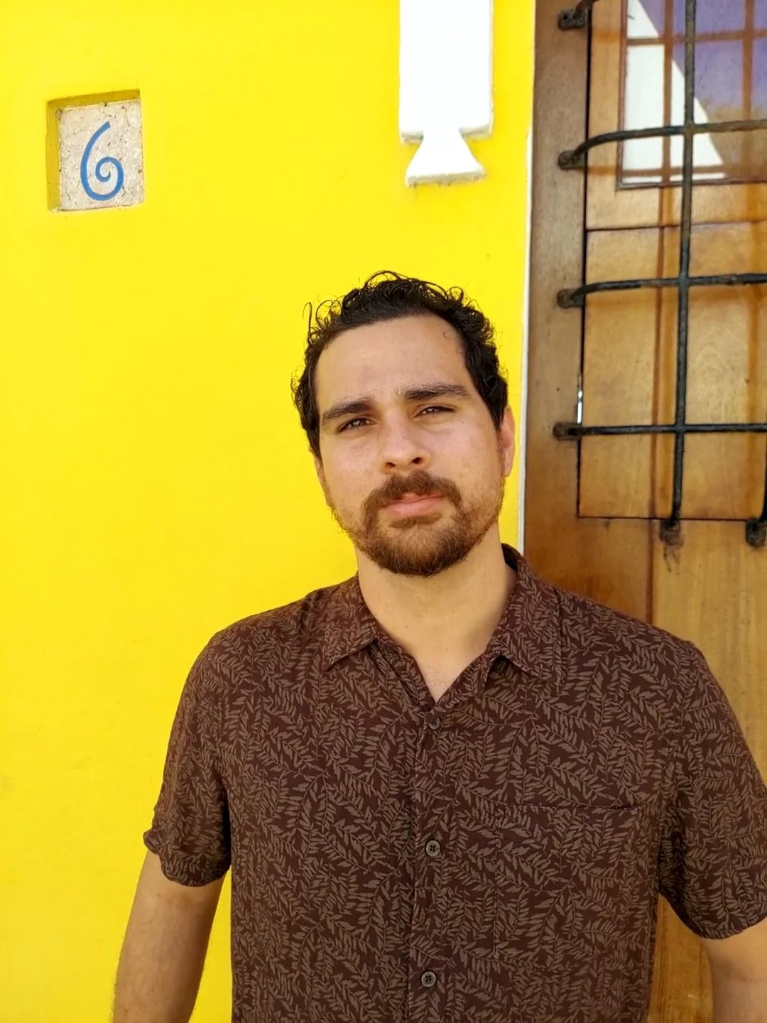 A man with dark wavy hair and a beard, standing in front of a yellow wall with decorative stone elements, wearing a brown shirt with leaf patterns.