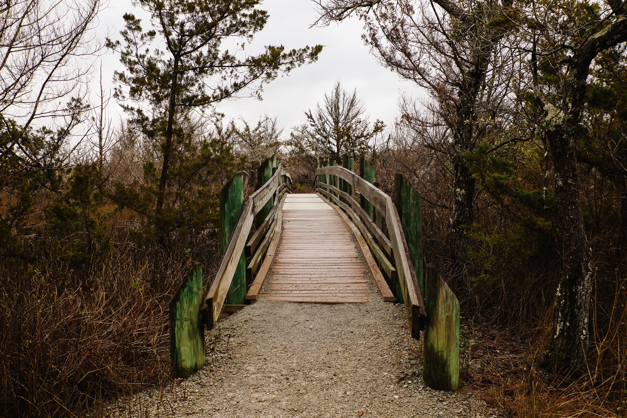 Wooden bridge over a dirt path in a forest with trees and overcast sky