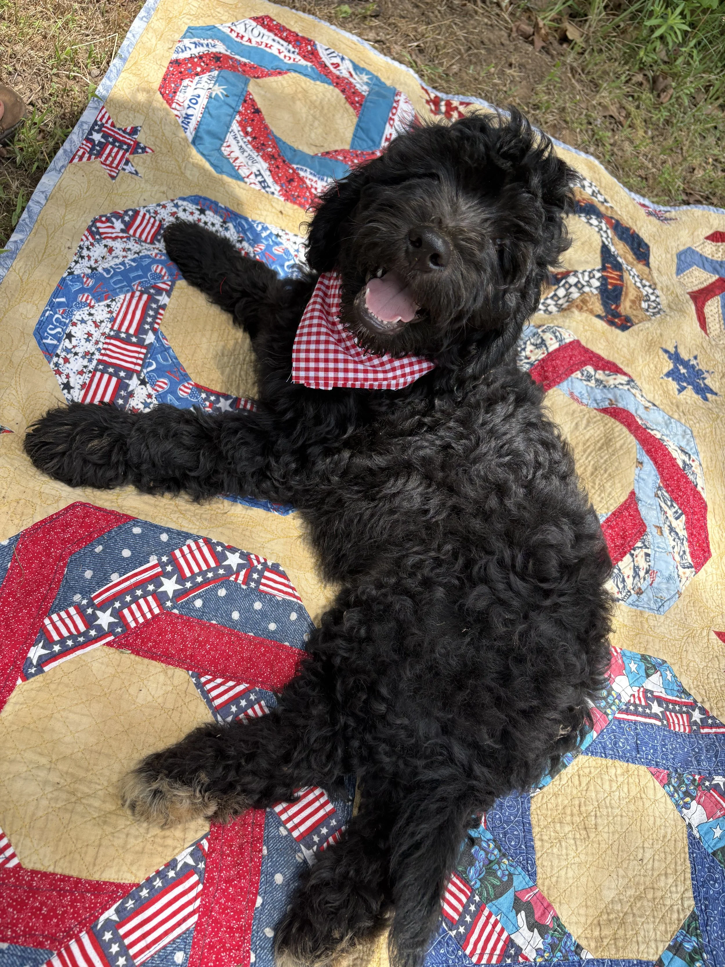 IMG_5183.jpeg