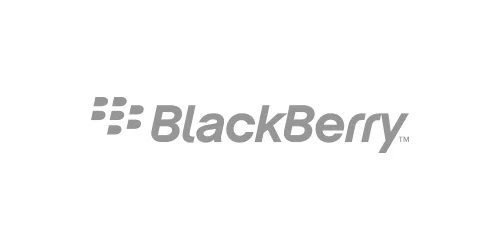 2_blackberry.jpg