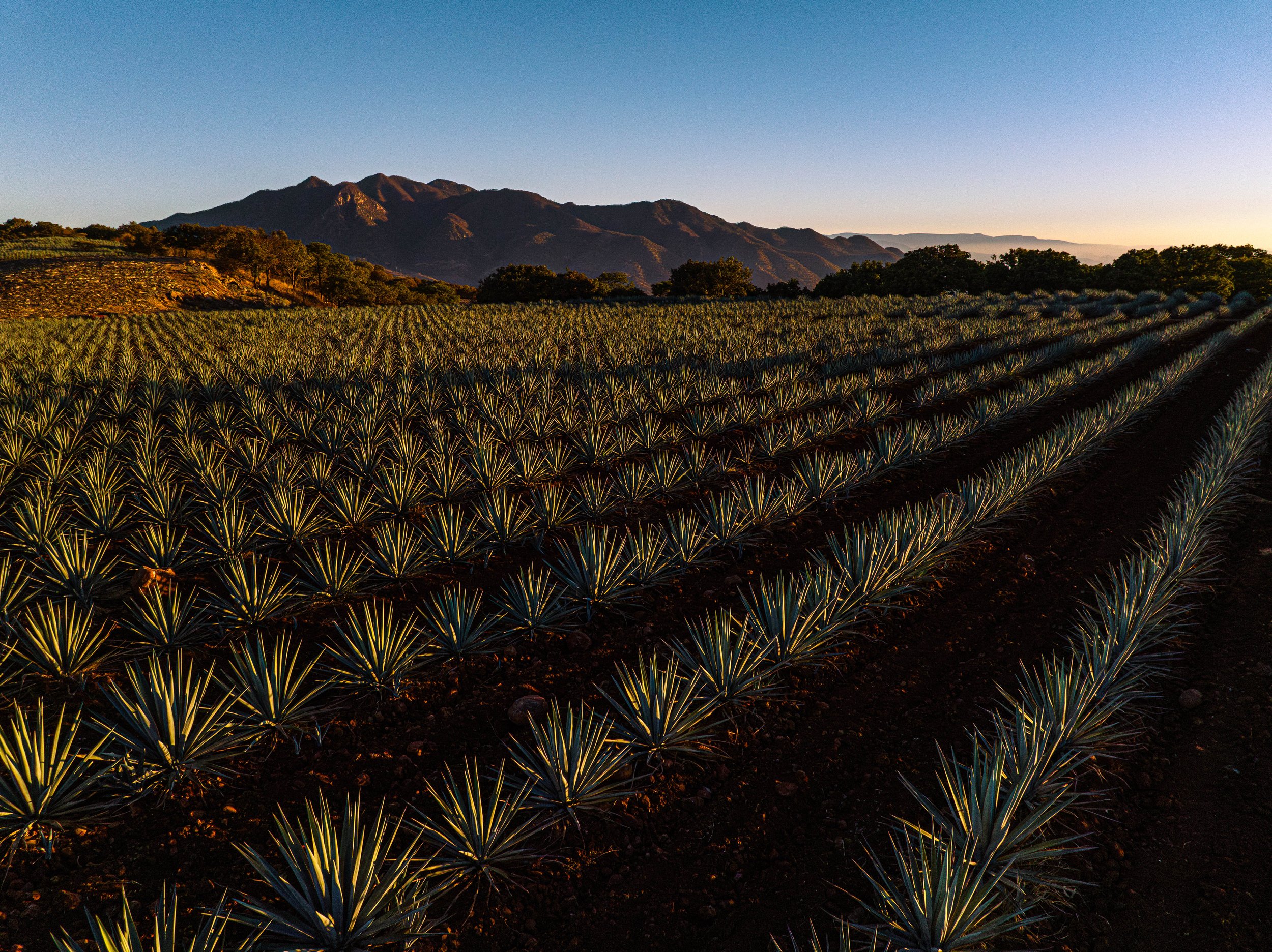 Casa_Obsidiana_230605_DJI_0690.jpg