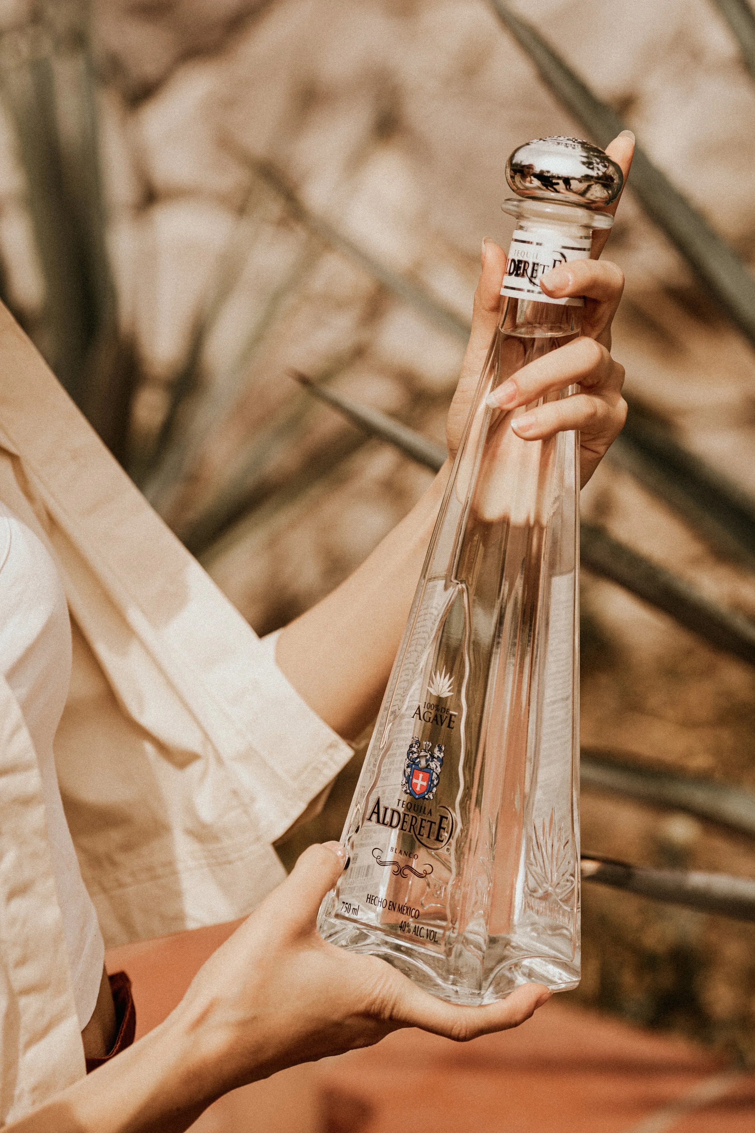 Tequila-Alderete-2025-7307286.jpg