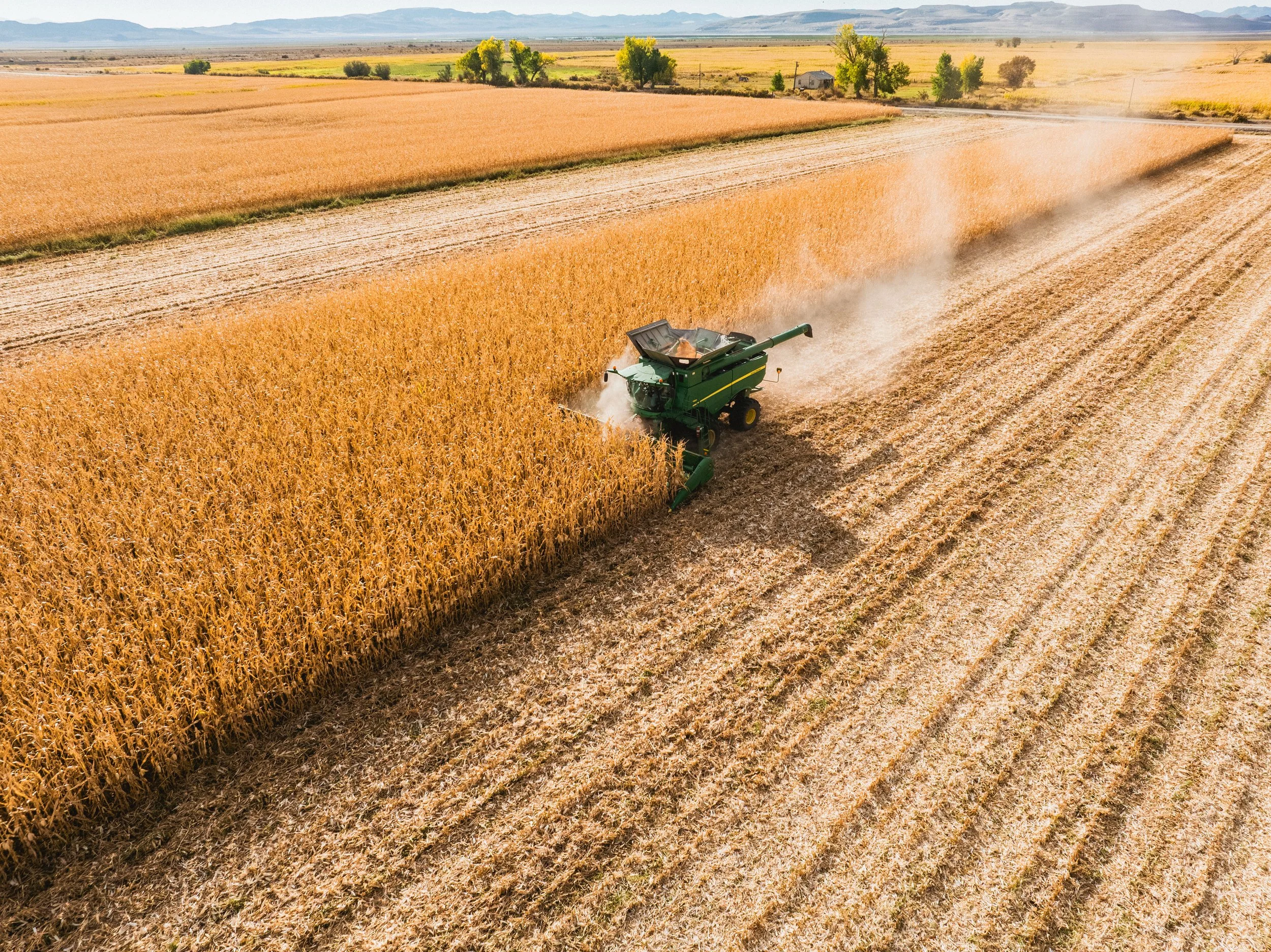 A green combine harvester is working in a vast golden wheat field under a clear sky, with distant mountains in the background.