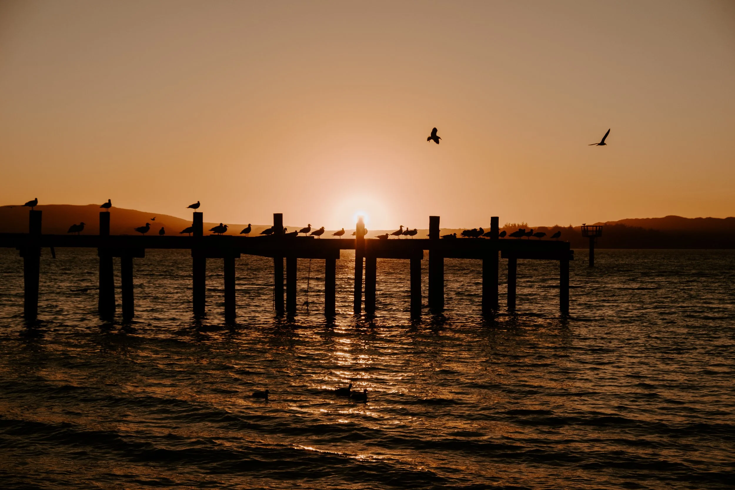 BODEGA_BAY-0246.jpg